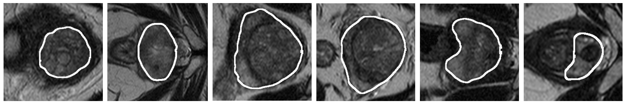 Symmetry 16 00755 g001