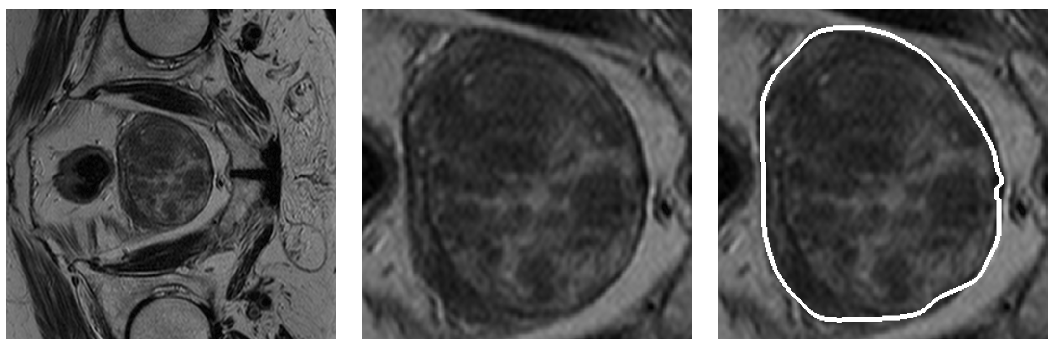Symmetry 16 00755 g010