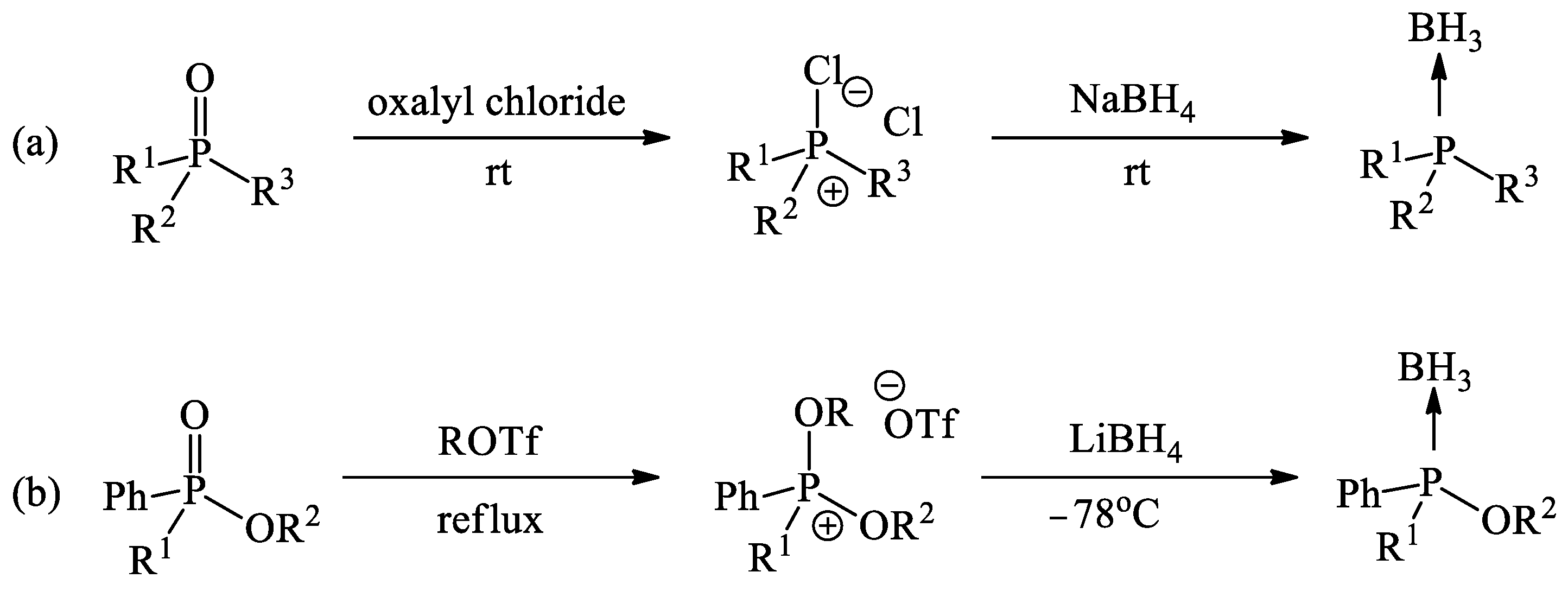 Symmetry 16 00976 sch001
