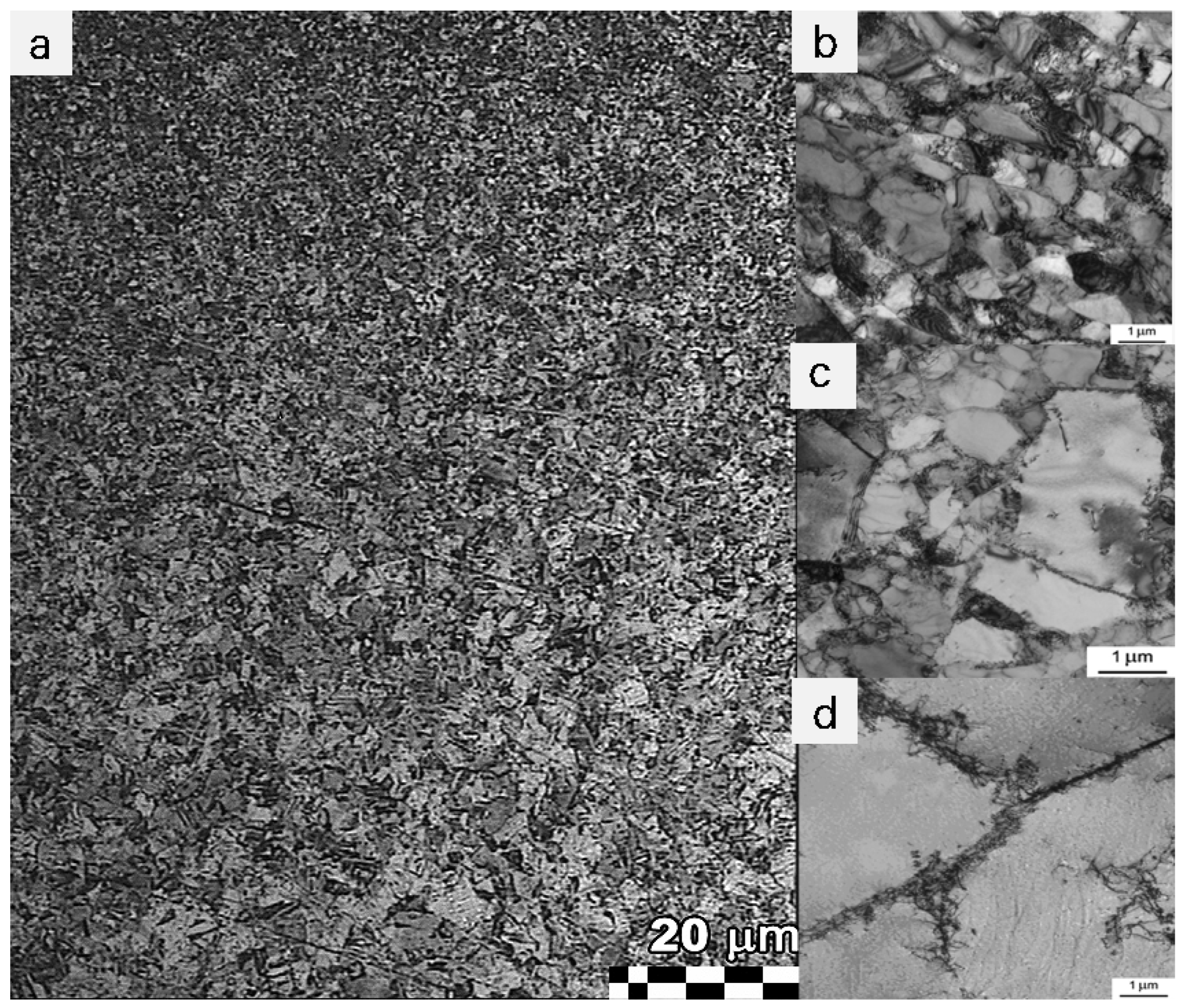 Symmetry 16 00997 g004