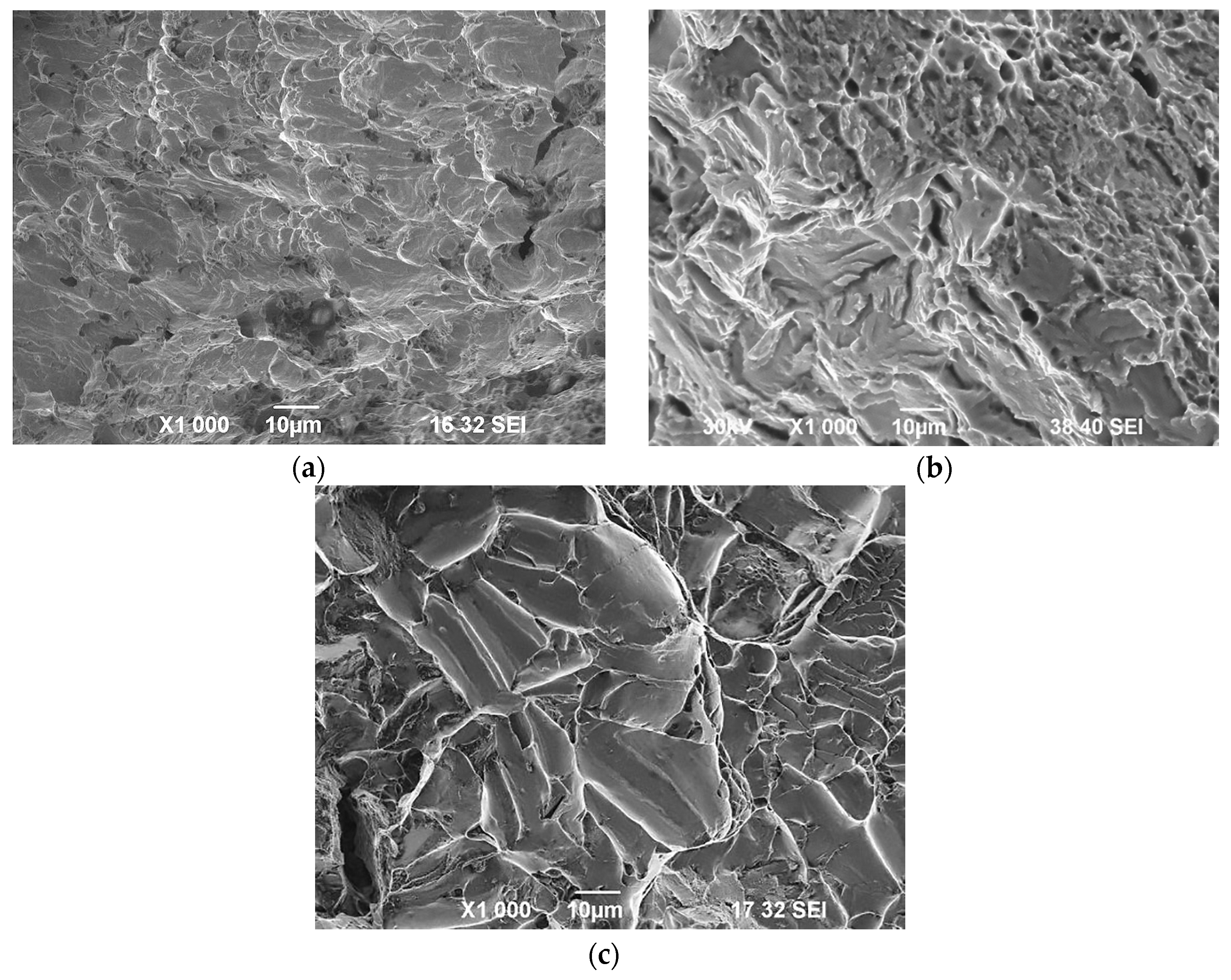Symmetry 16 00997 g010