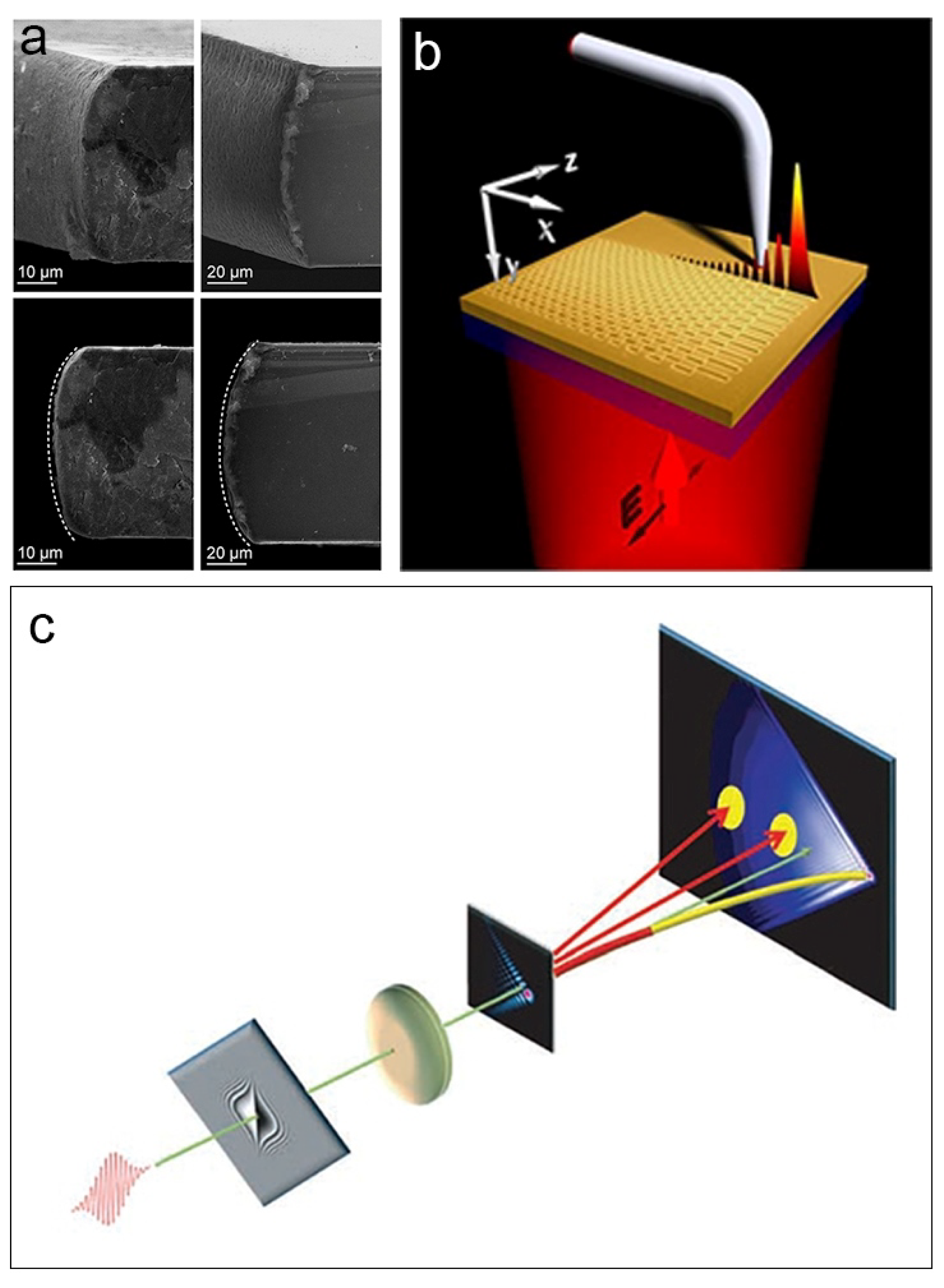 Symmetry 16 01053 g003a