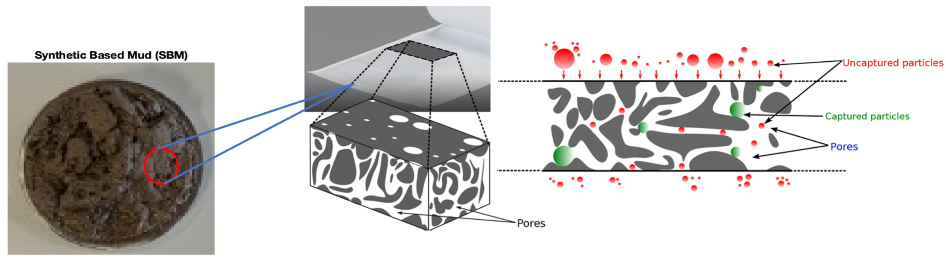 Symmetry 16 01072 g007