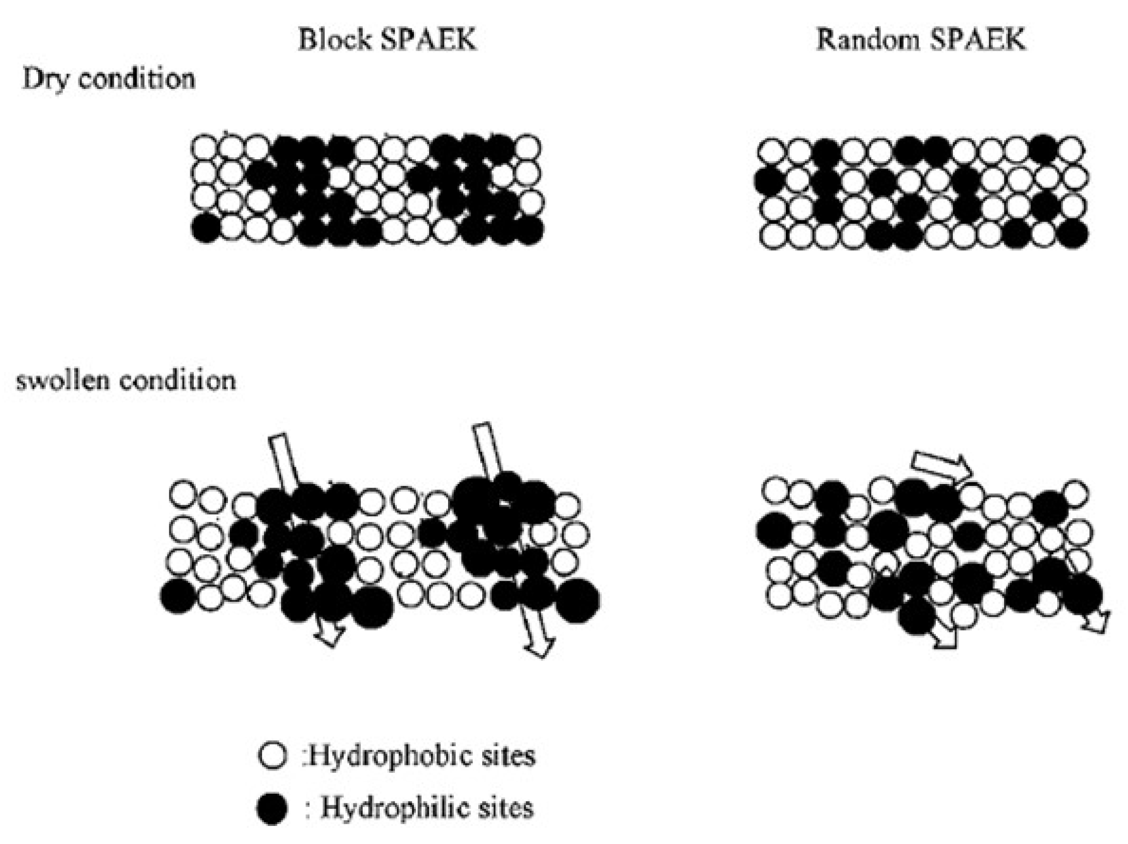 Symmetry 16 01079 g009