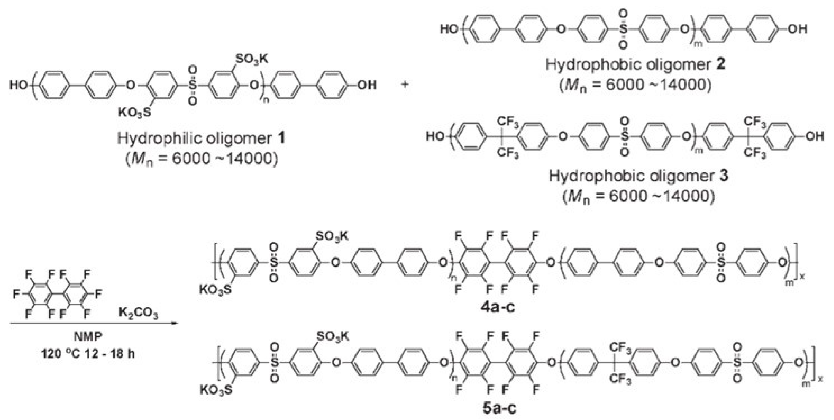 Symmetry 16 01079 g015