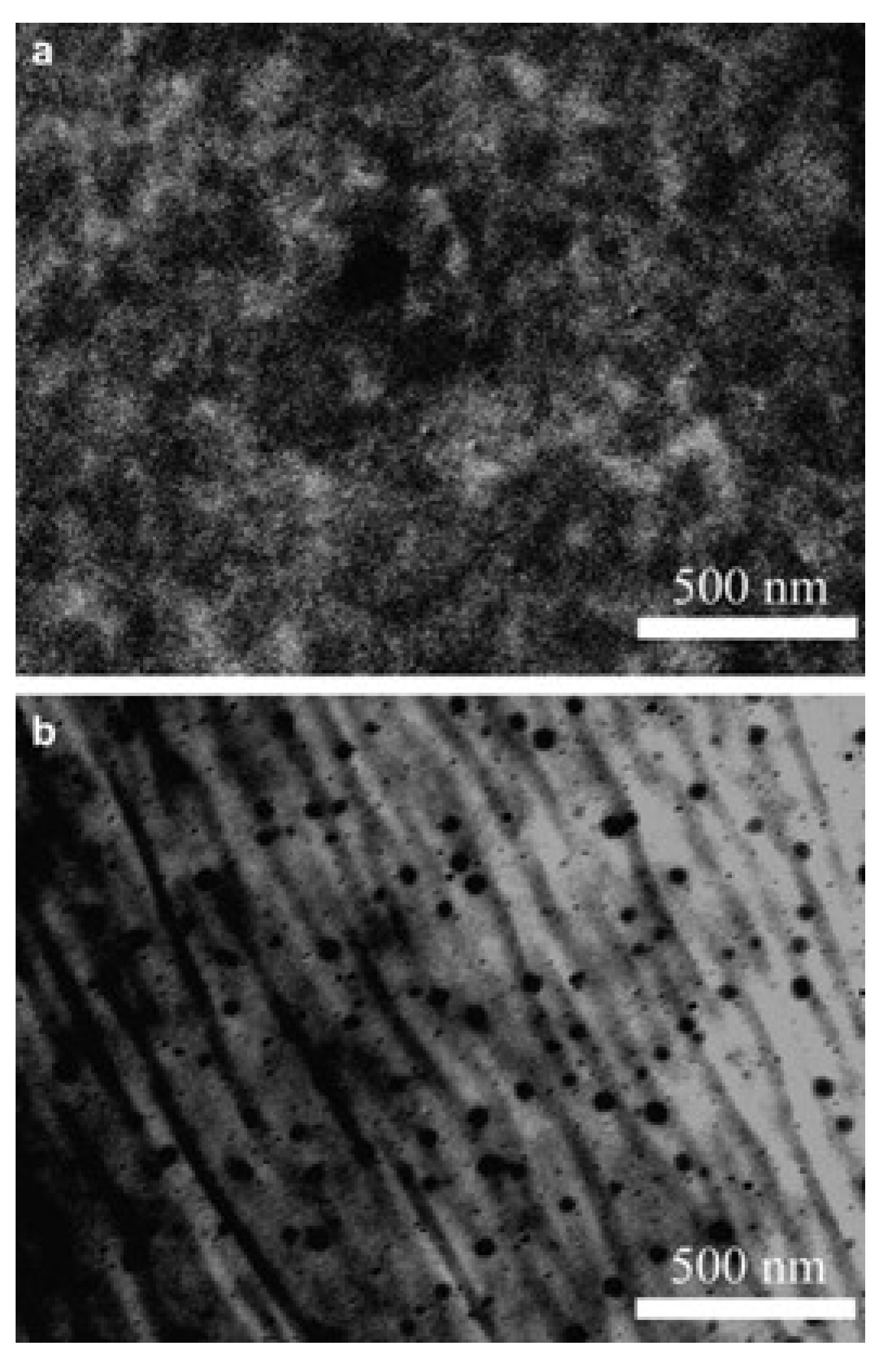 Symmetry 16 01079 g038