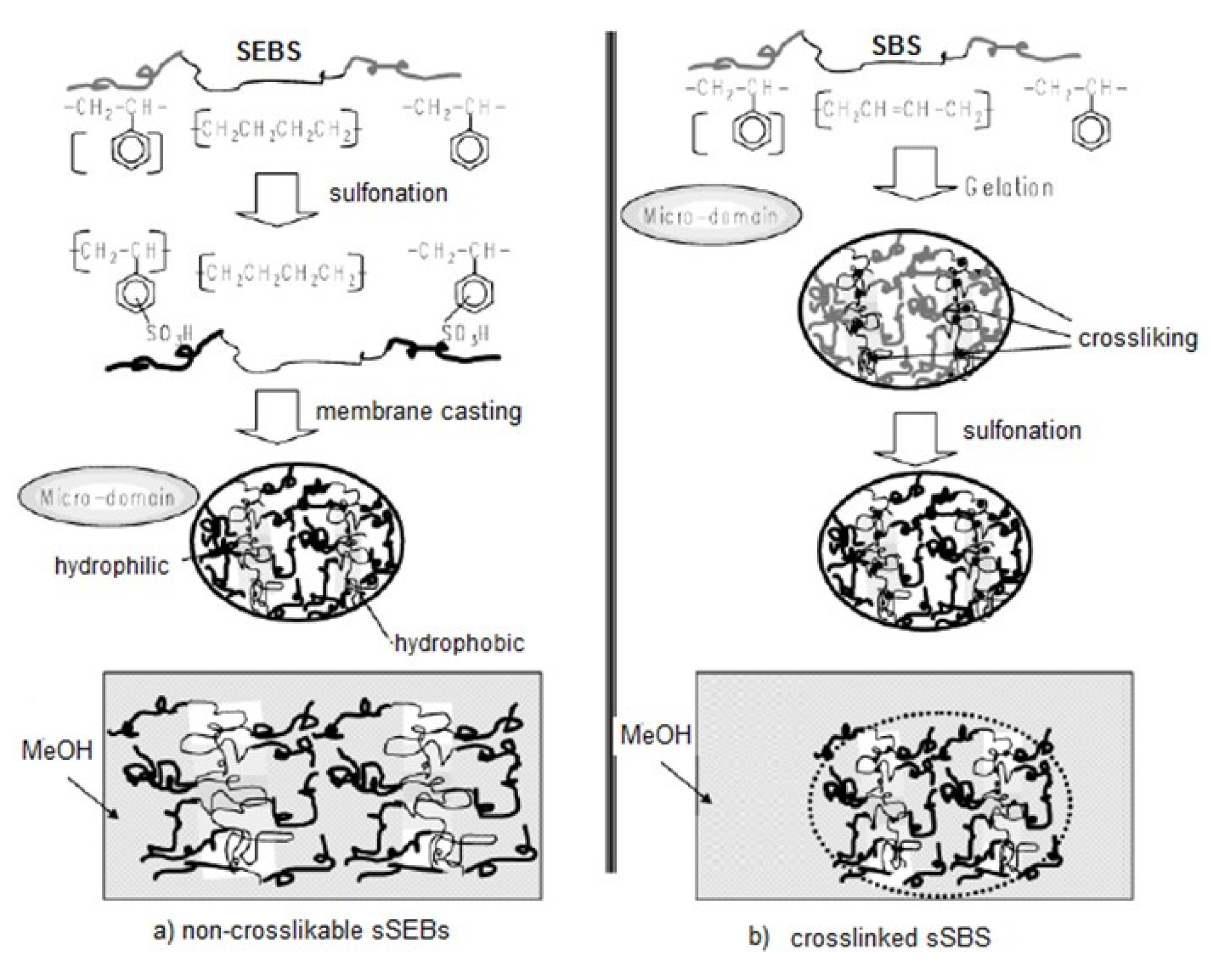 Symmetry 16 01079 sch001