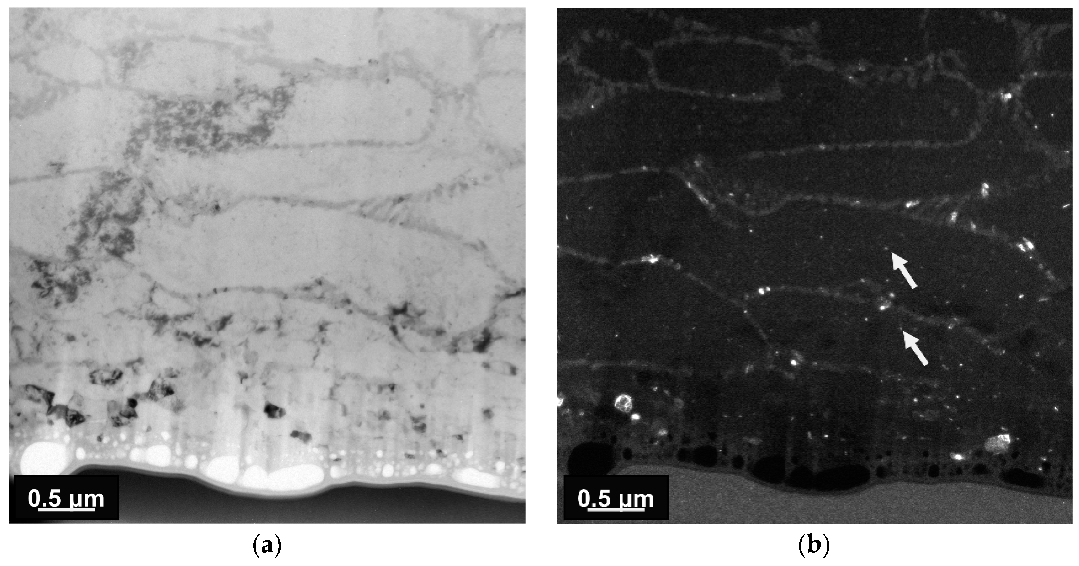 Symmetry 16 01158 g007