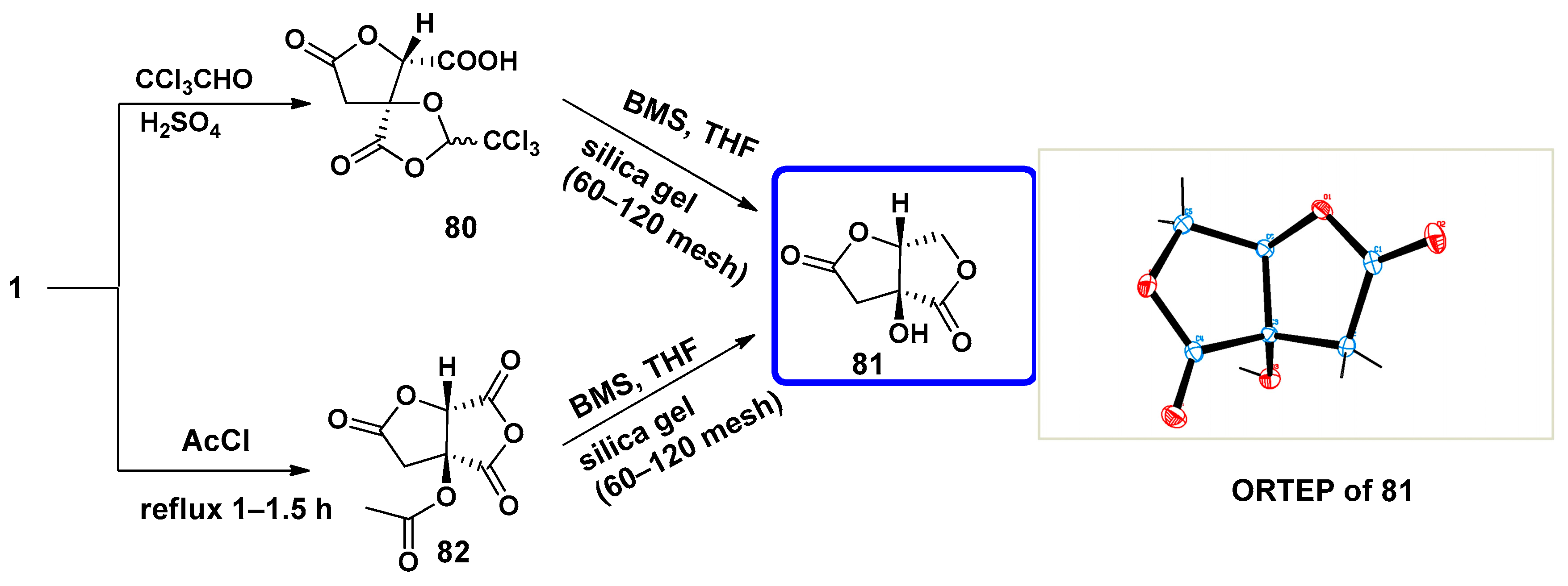 Symmetry 16 01331 sch001 Symmetry 16 01331 sch001
