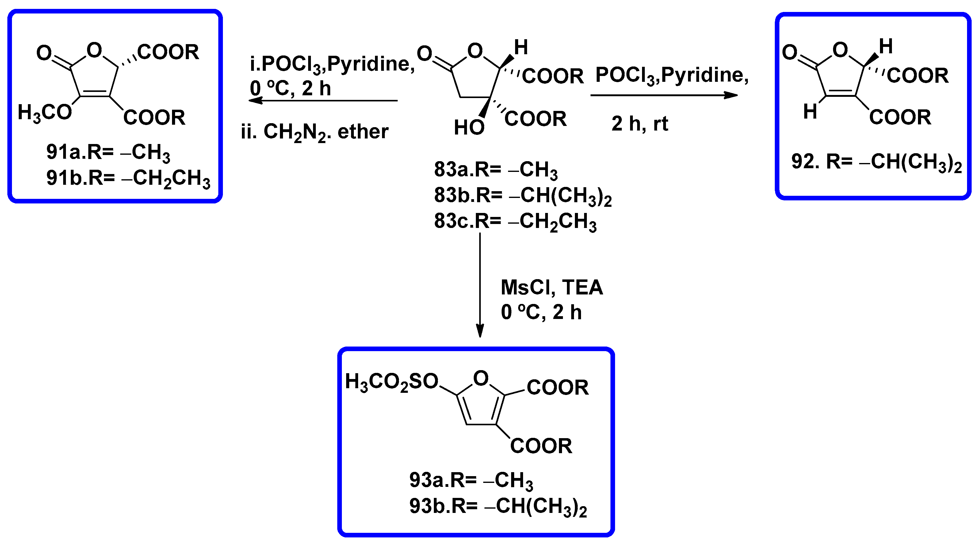 Symmetry 16 01331 sch005 Symmetry 16 01331 sch005
