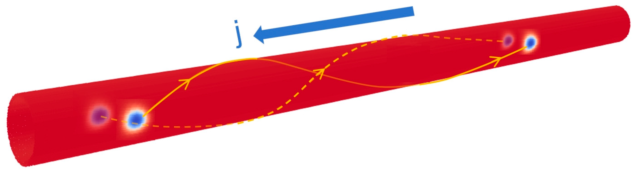 Symmetry 16 01336 g002