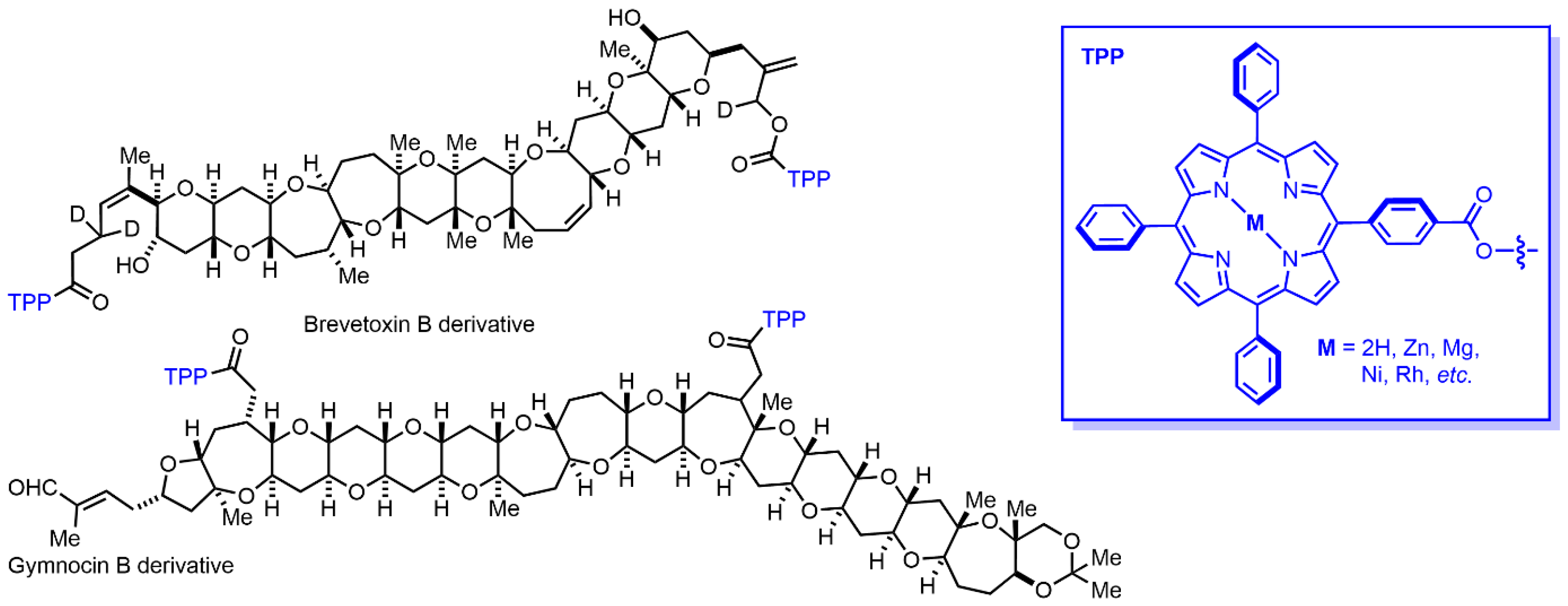 Symmetry 17 00293 g004