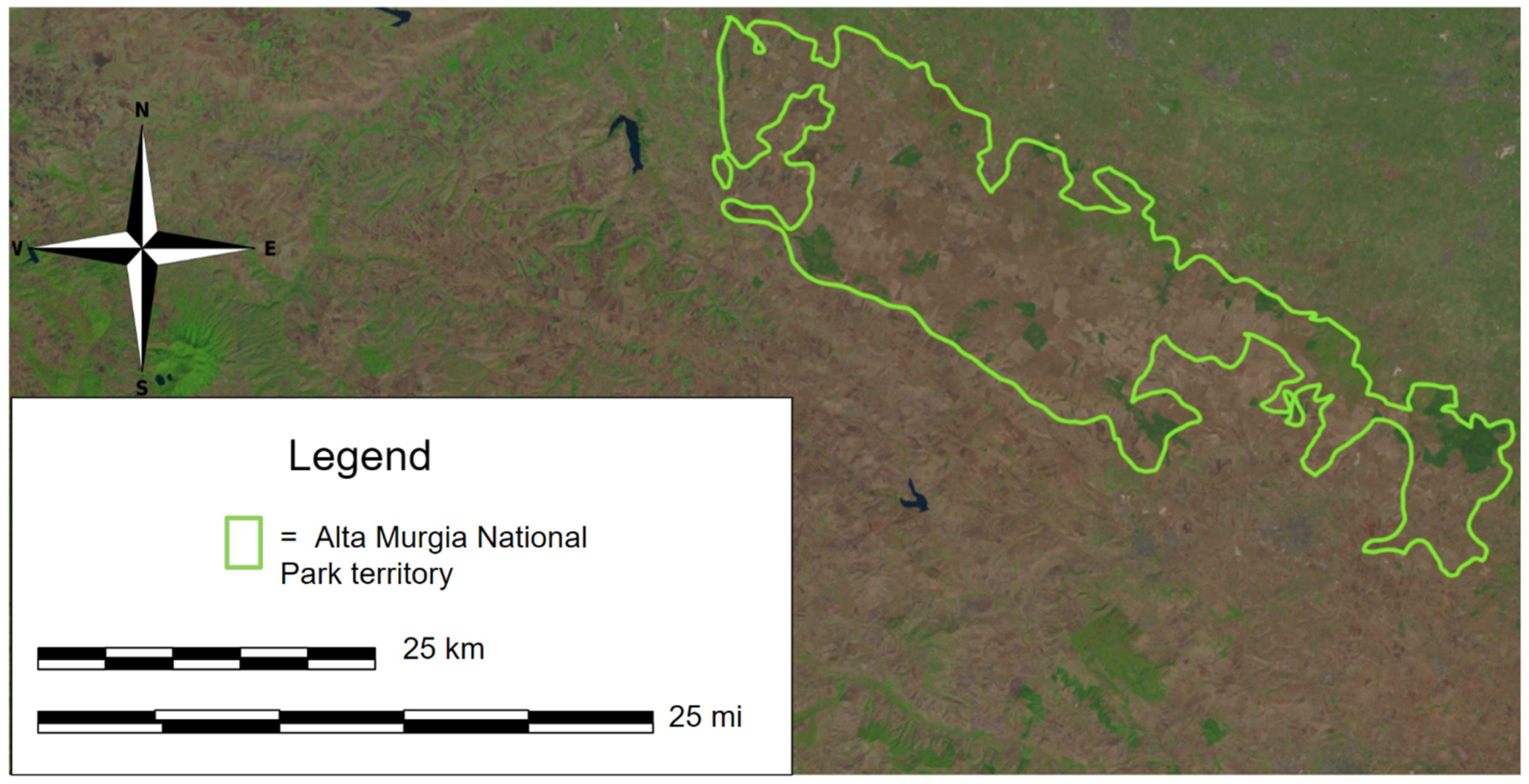Symmetry 17 00324 g001