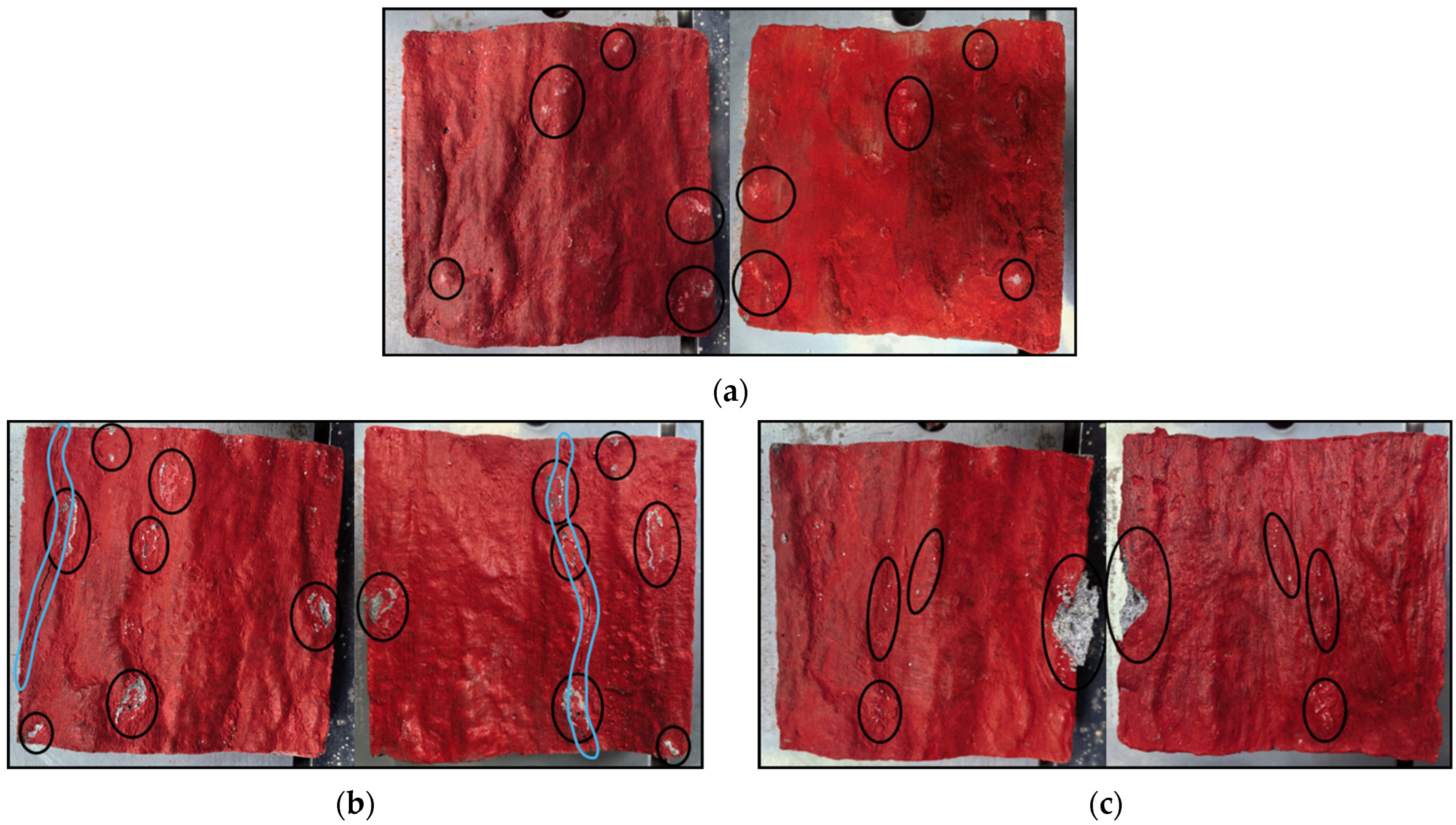 Symmetry 17 00569 g010