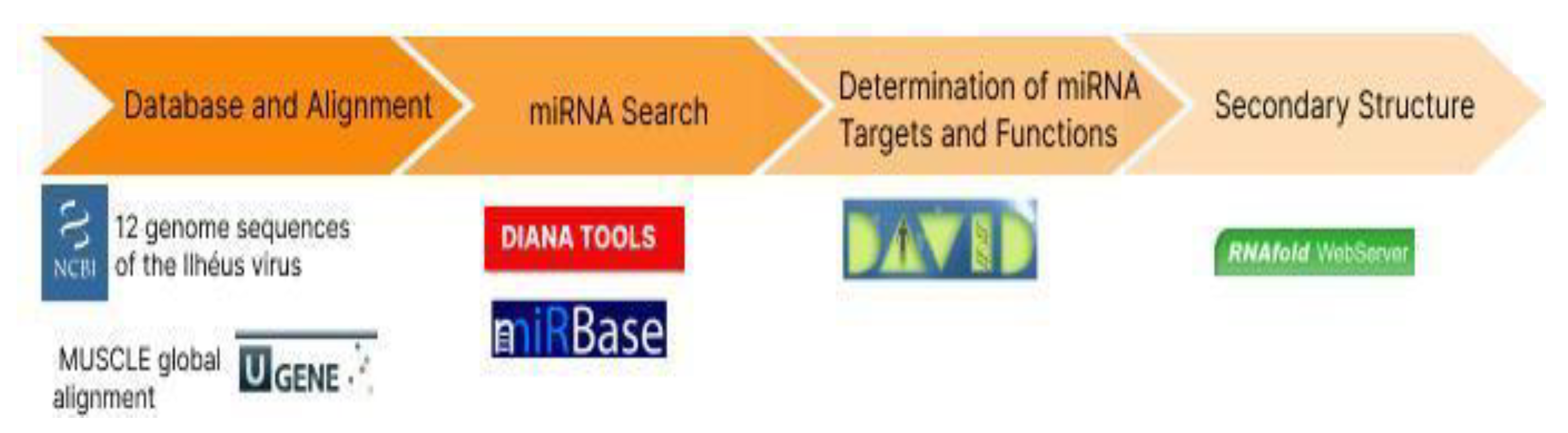 Synbio 01 00014 g003