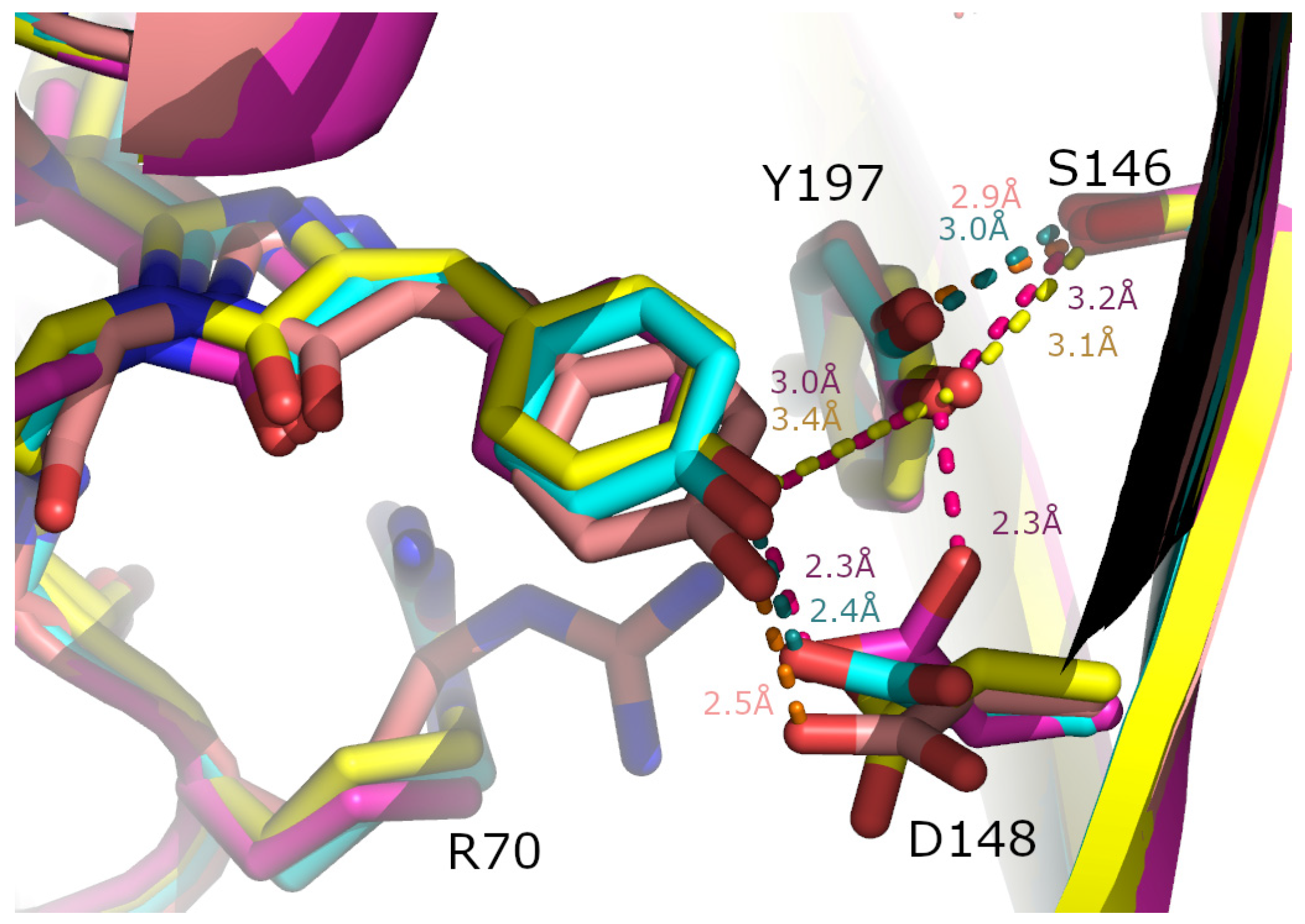 Synbio 02 00018 g006 Synbio 02 00018 g006