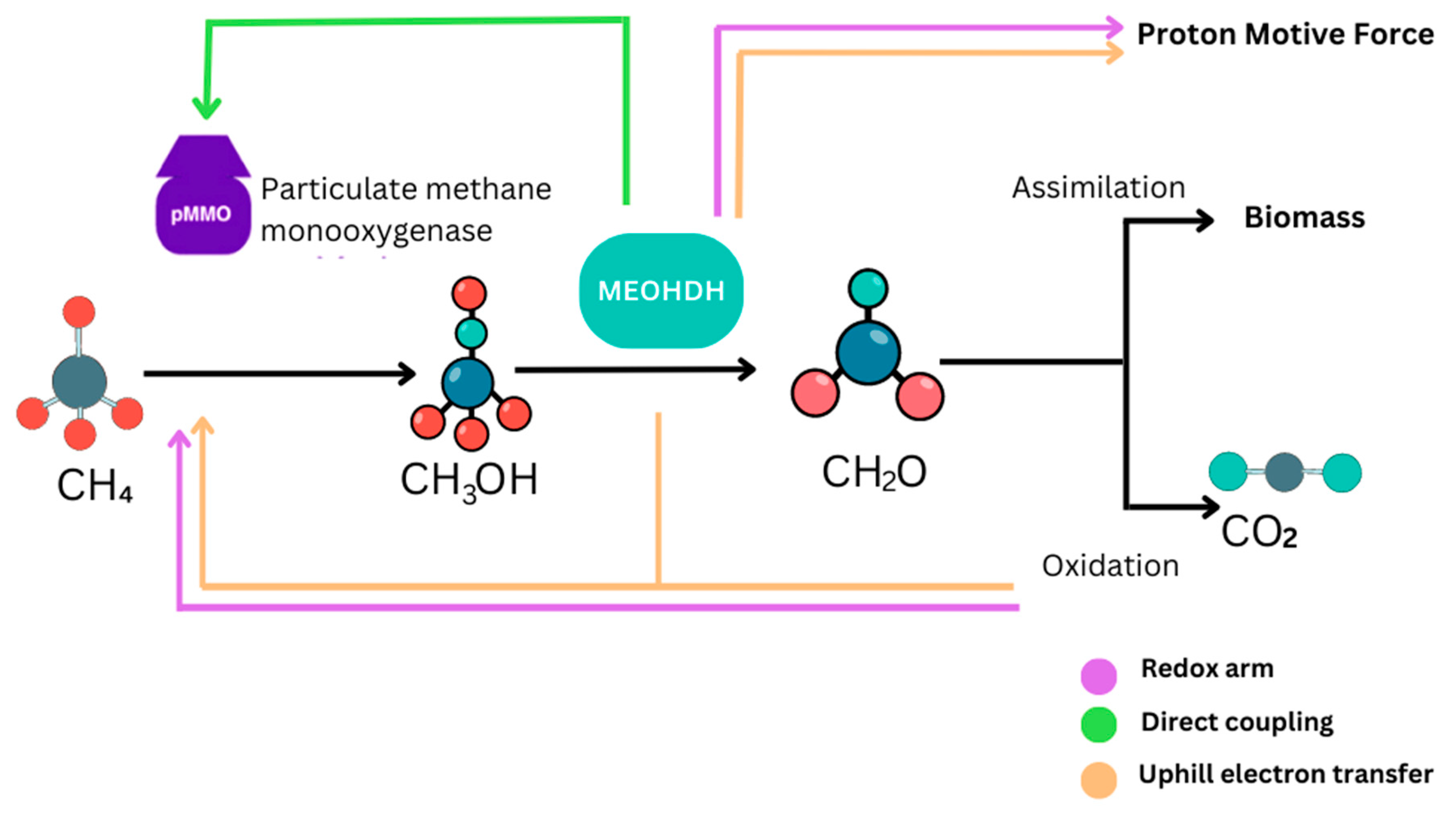 Synbio 02 00019 g001
