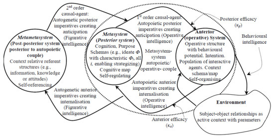 Systems | Free Full-Text | Autopoiesis and Its Efficacy—A Metacybernetic  View