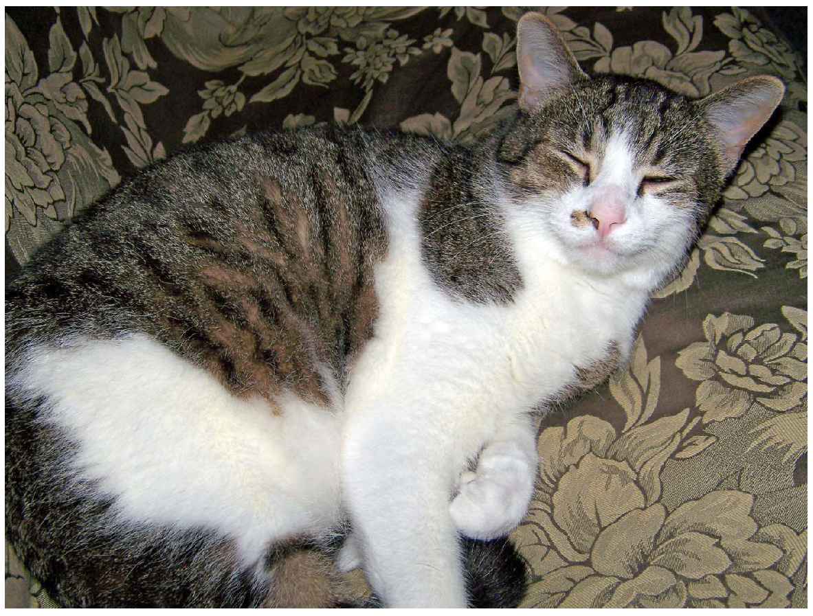 Systems 13 00797 g006 Systems 13 00797 g006