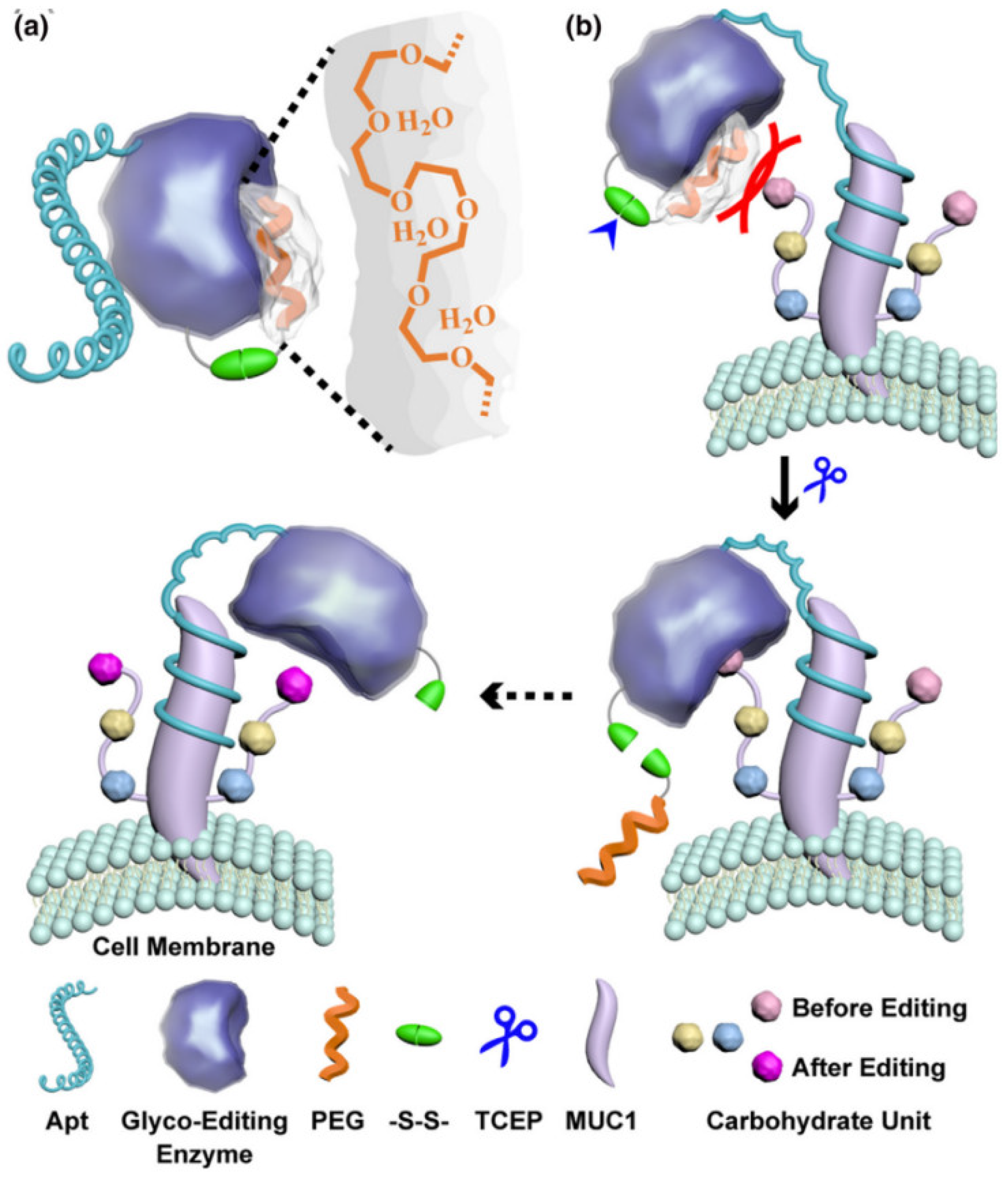 Targets 02 00001 g006