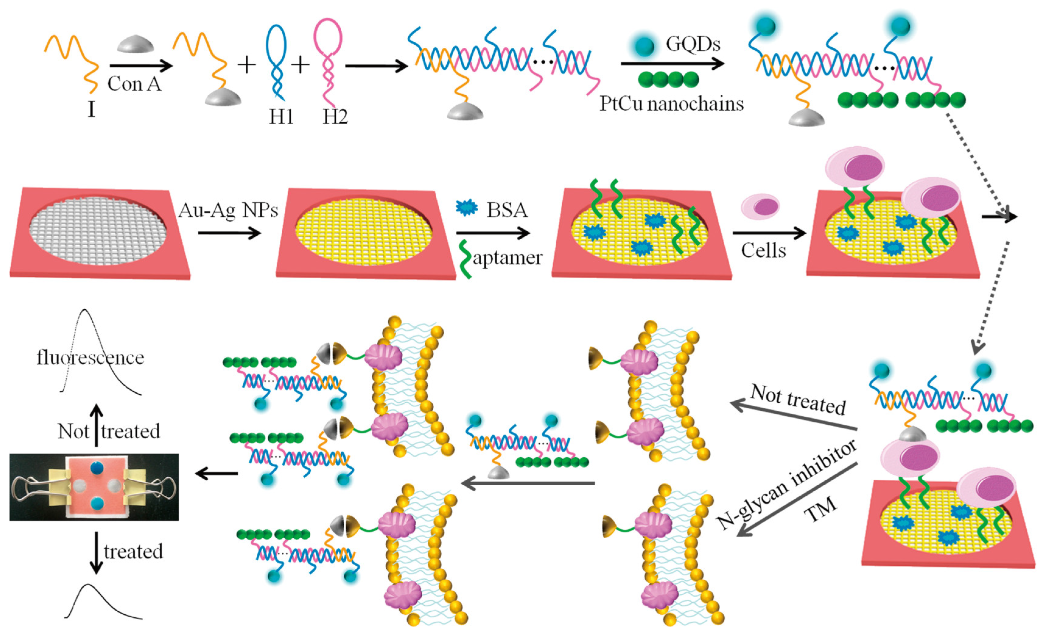 Targets 02 00001 g012