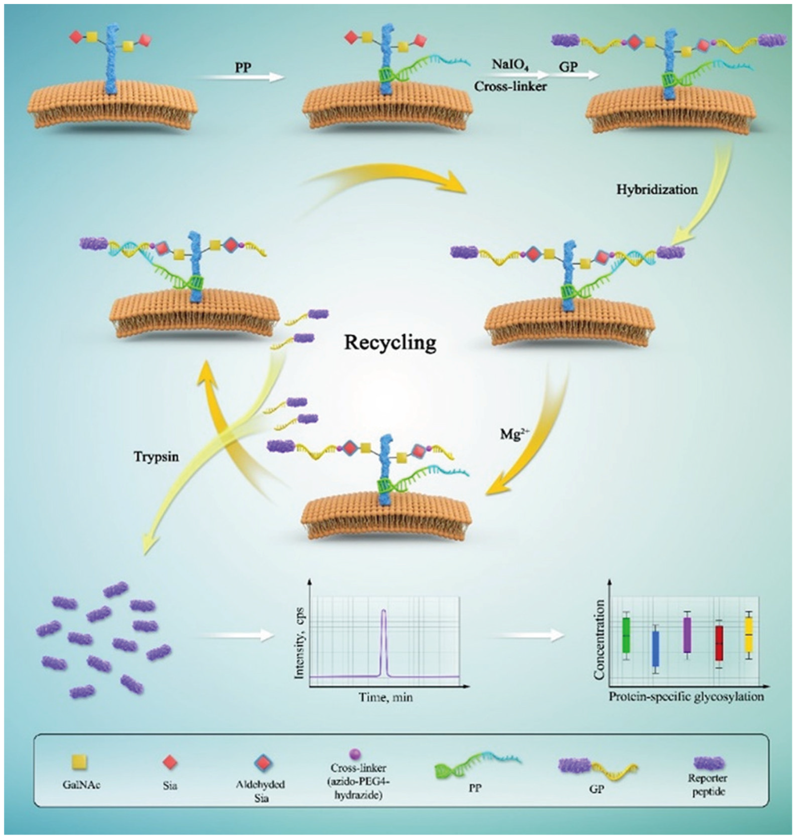 Targets 02 00001 g019