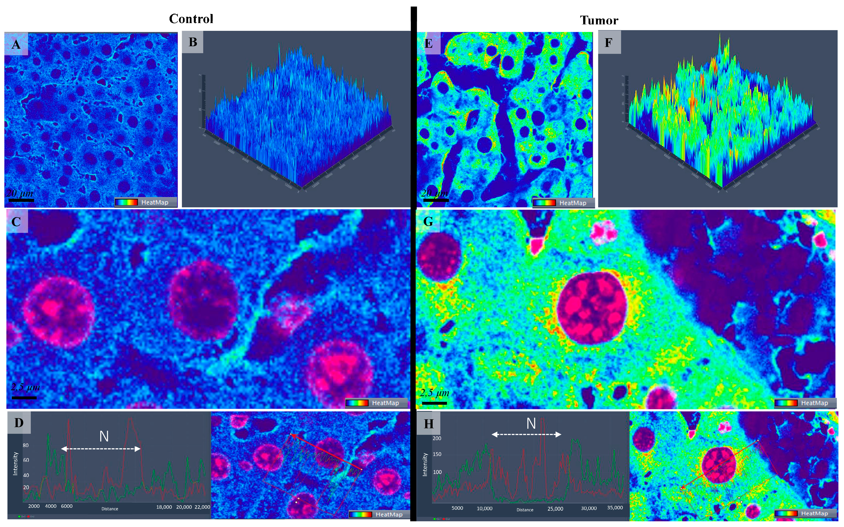 Targets 02 00003 g004