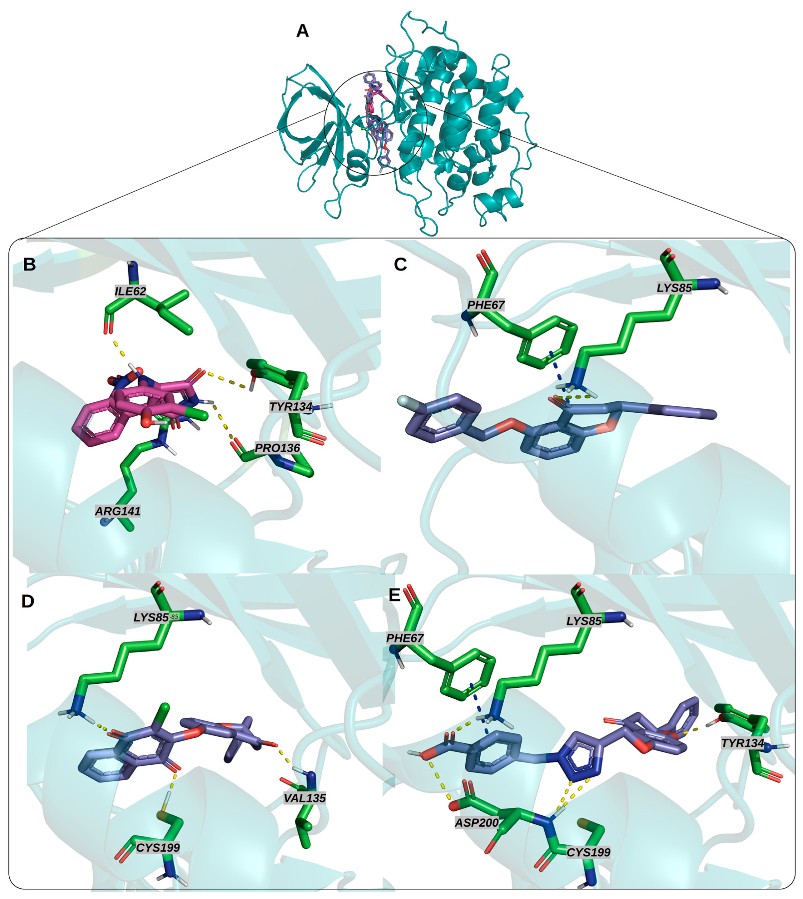 Targets 03 00013 g003