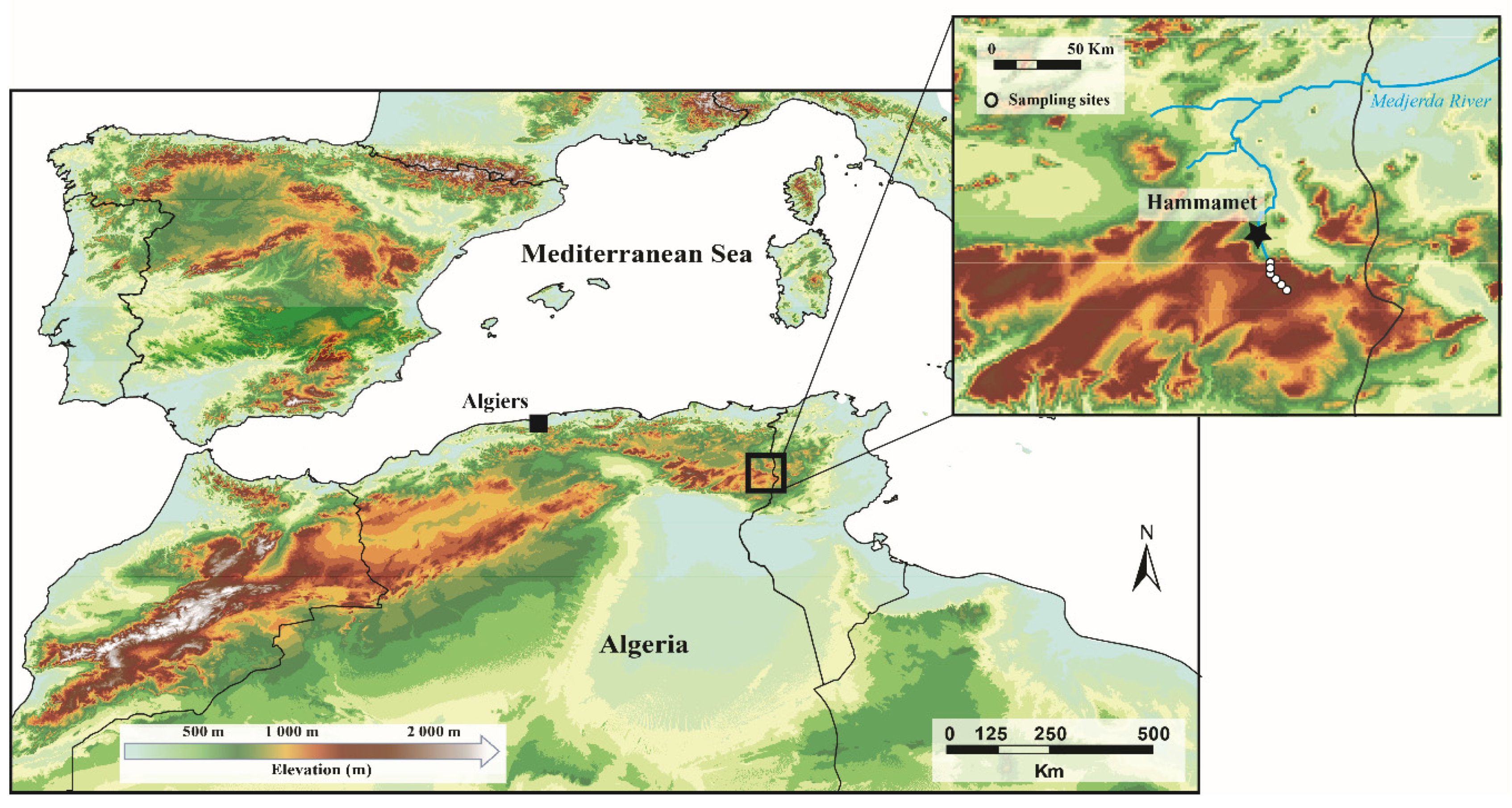 Taxonomy 01 00005 g001 Taxonomy 01 00005 g001