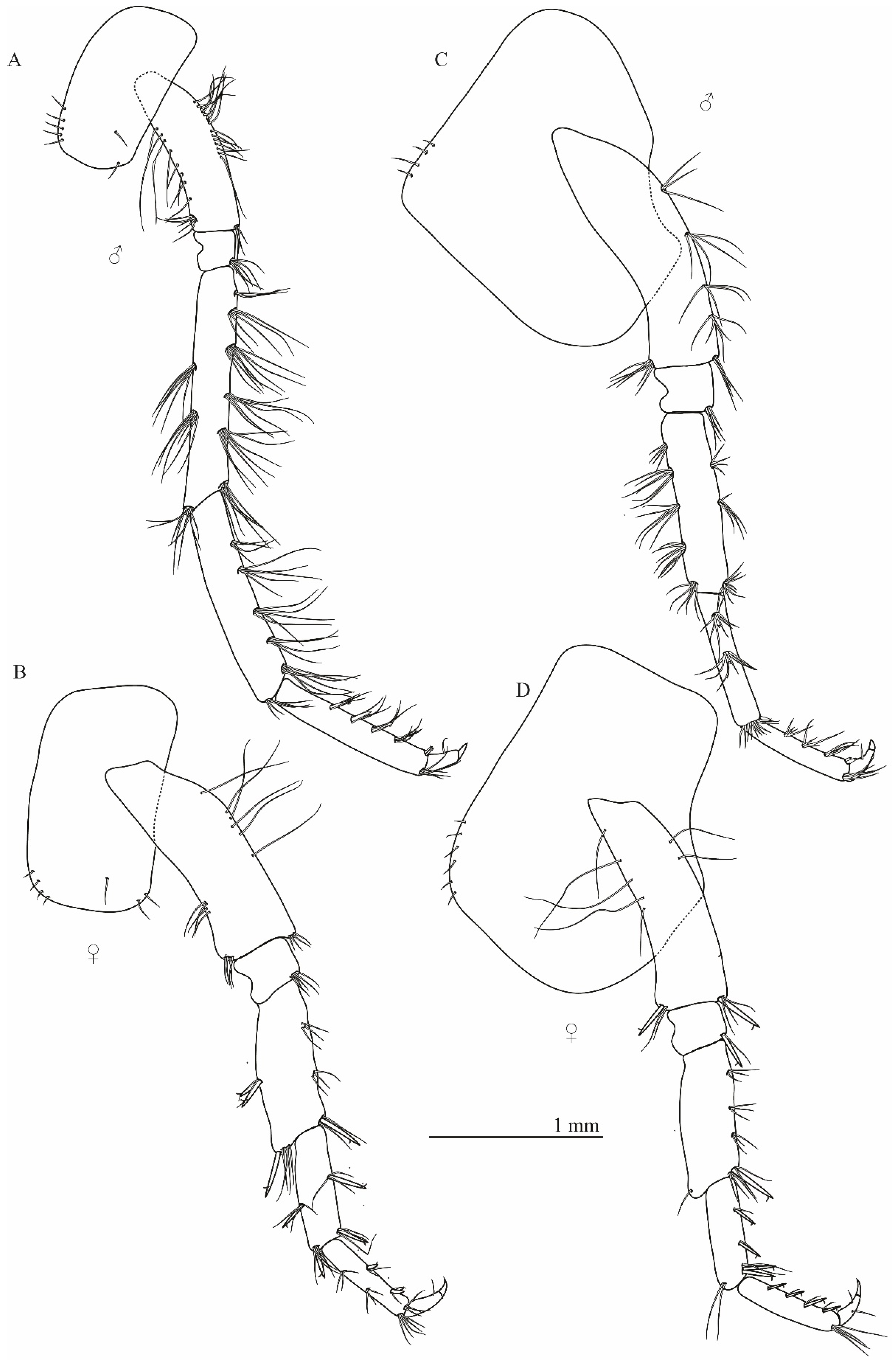 Taxonomy 01 00005 g006 Taxonomy 01 00005 g006
