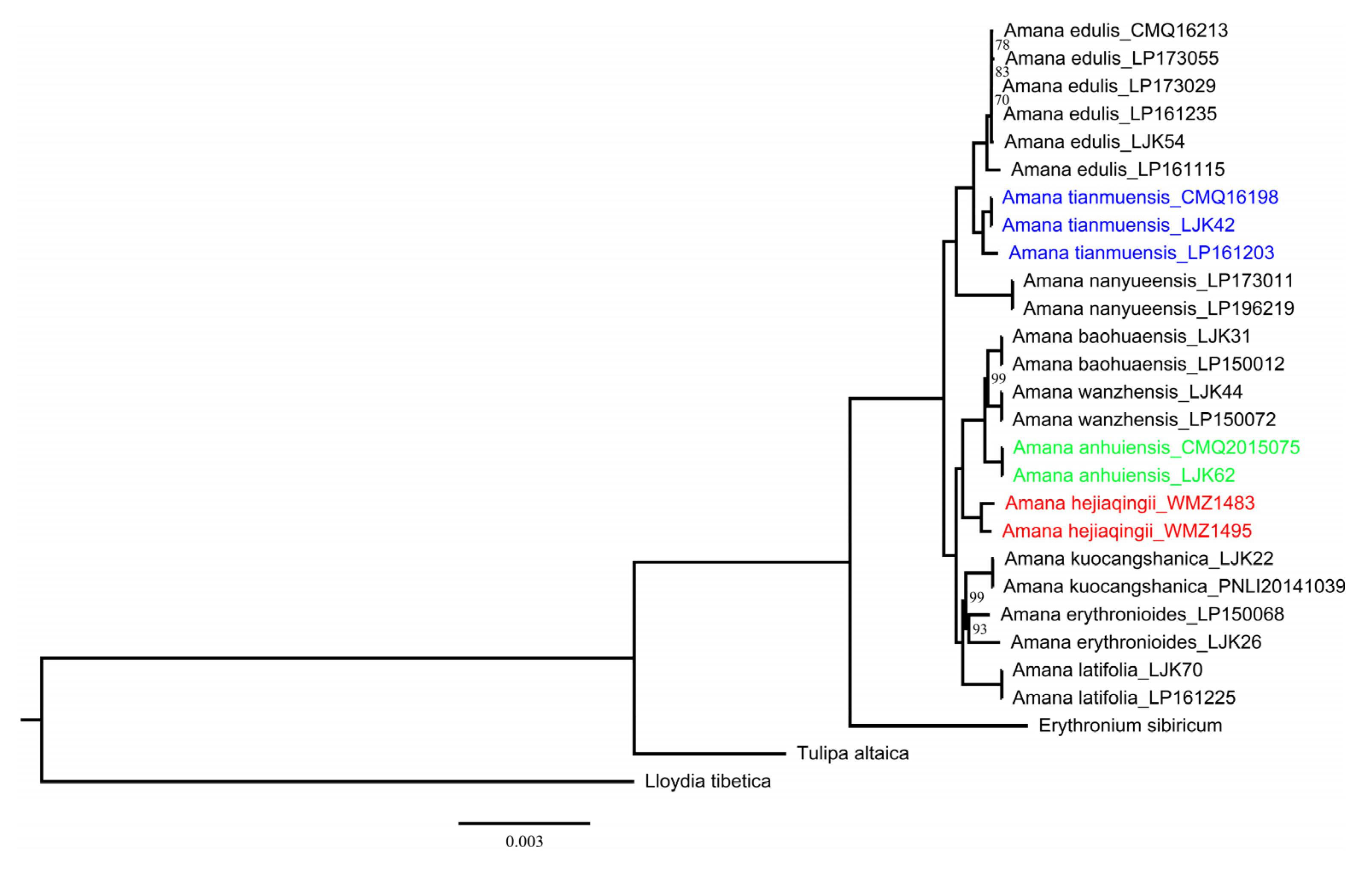 Taxonomy 02 00022 g007 Taxonomy 02 00022 g007
