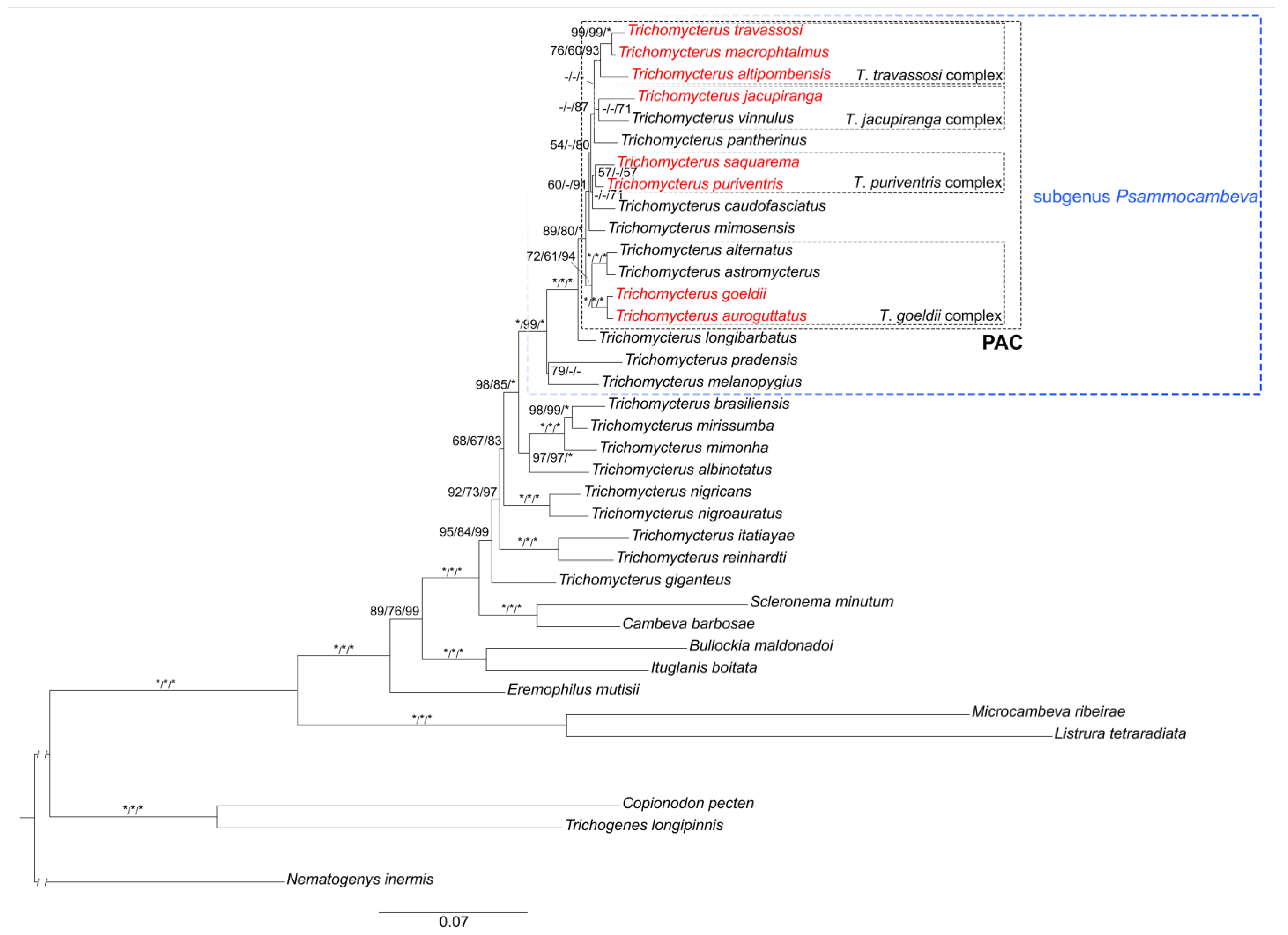 Taxonomy 02 00032 g001 Taxonomy 02 00032 g001