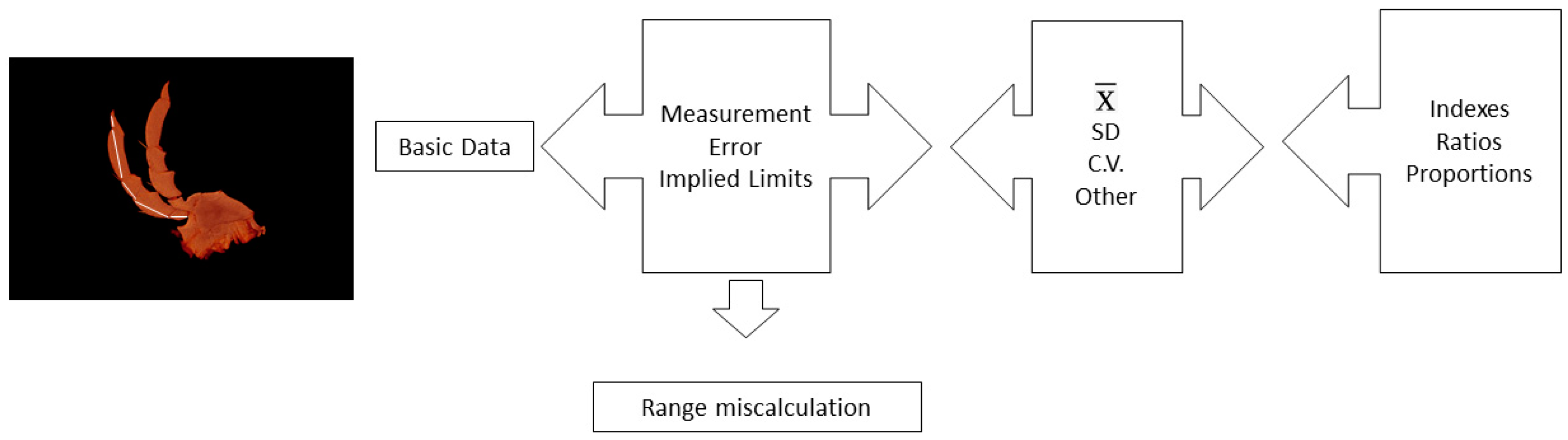Taxonomy 03 00001 g001