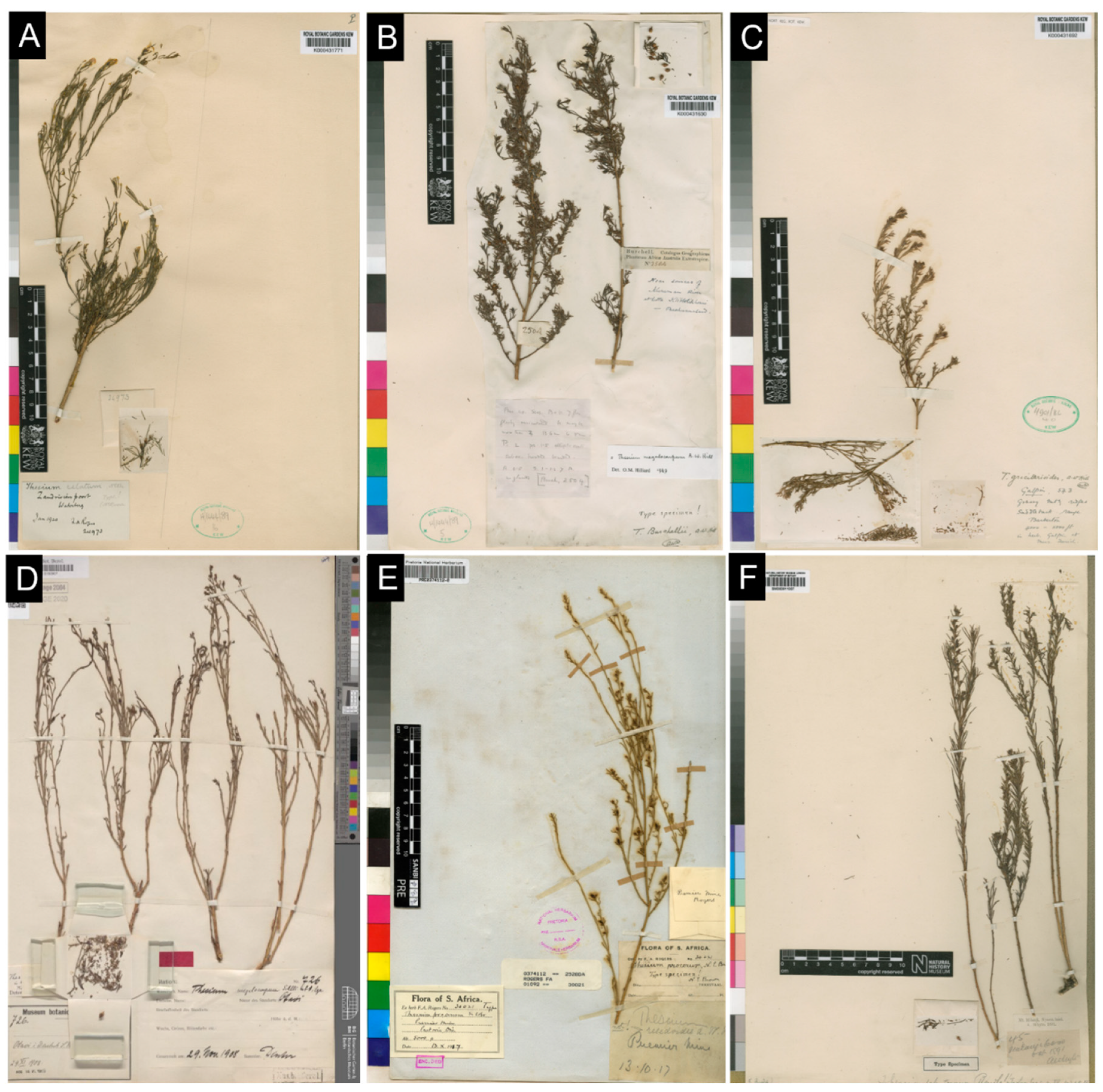 Taxonomy 03 00009 g001