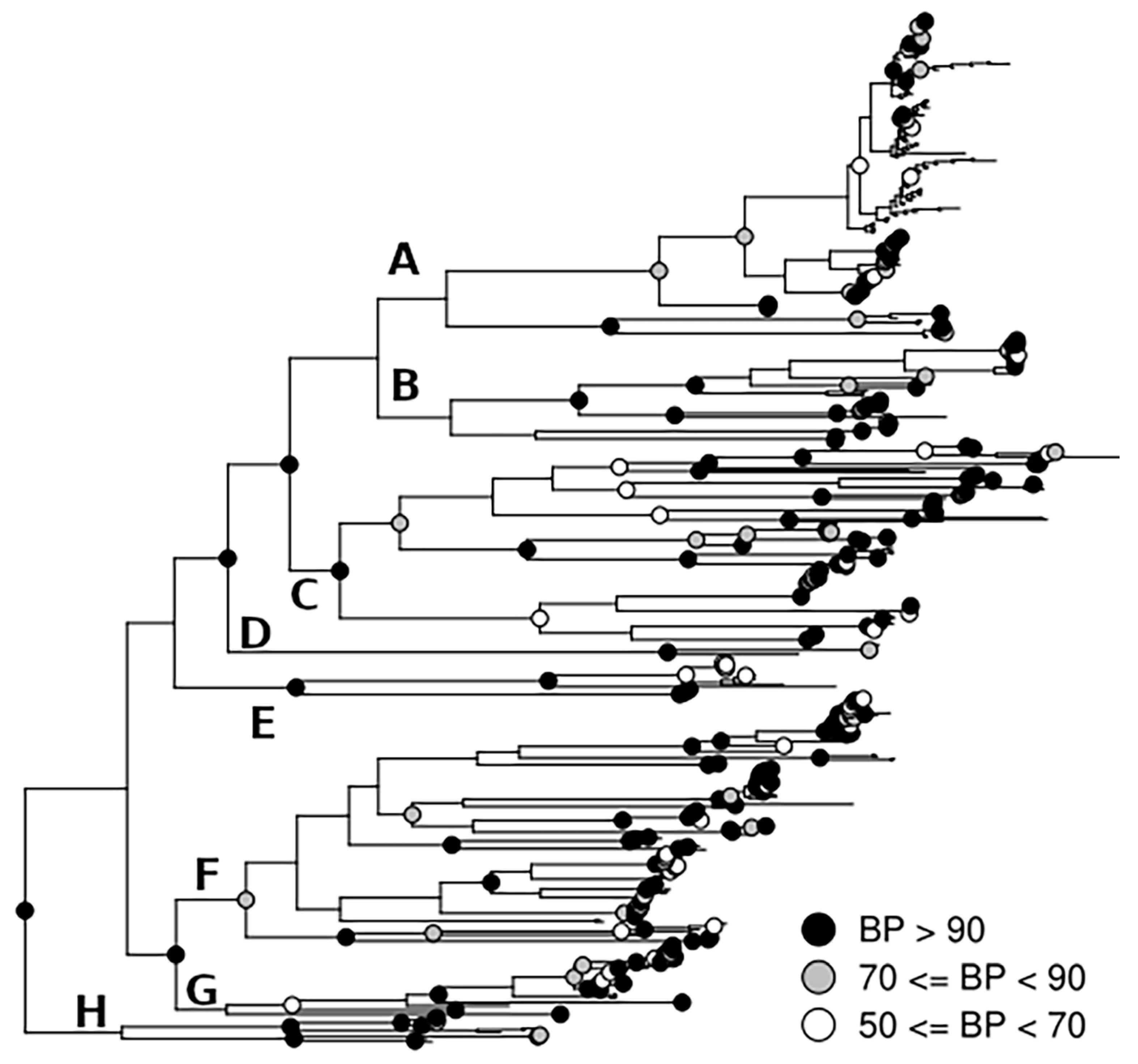 Taxonomy 03 00011 g002
