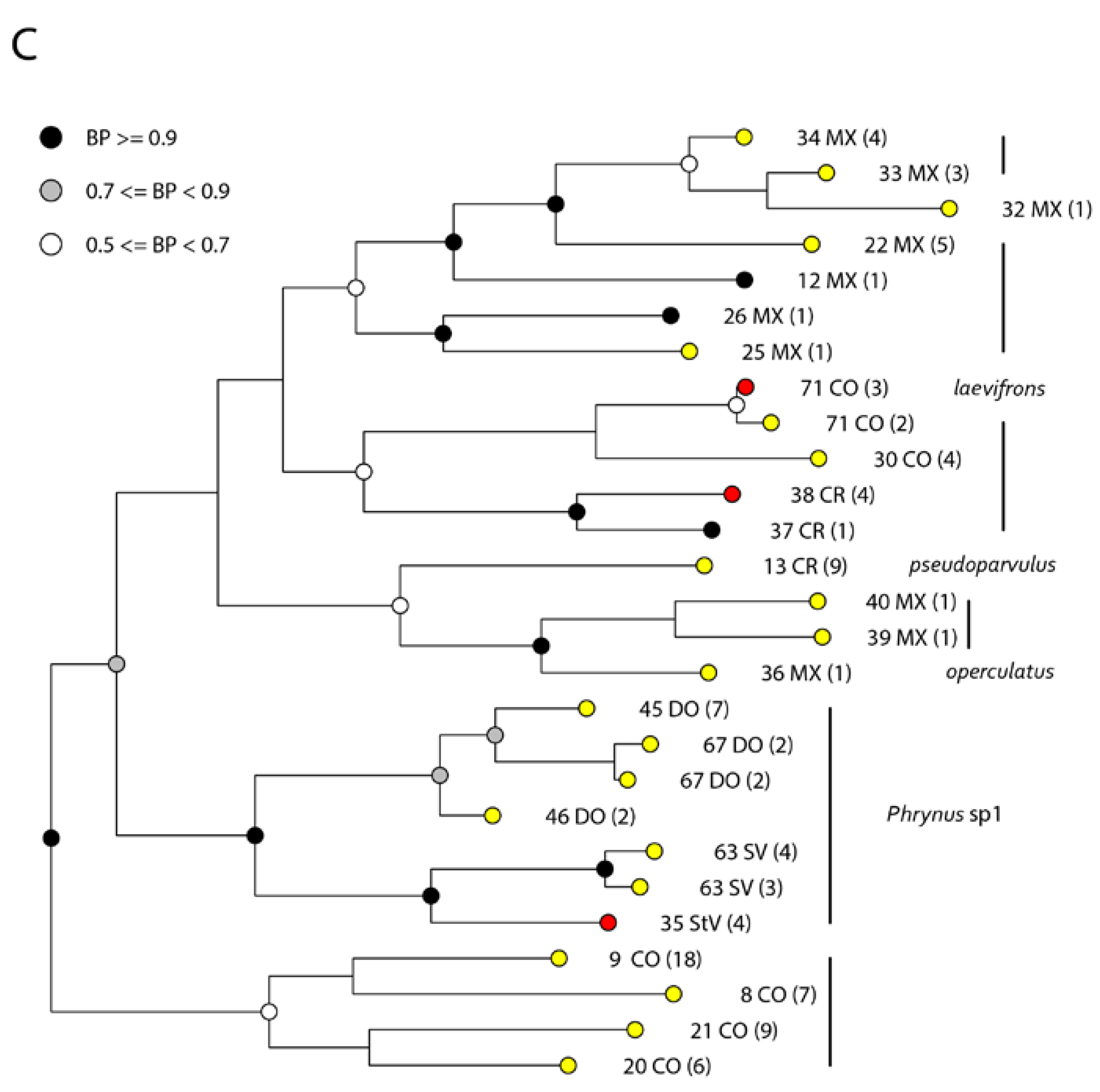 Taxonomy 03 00011 g004