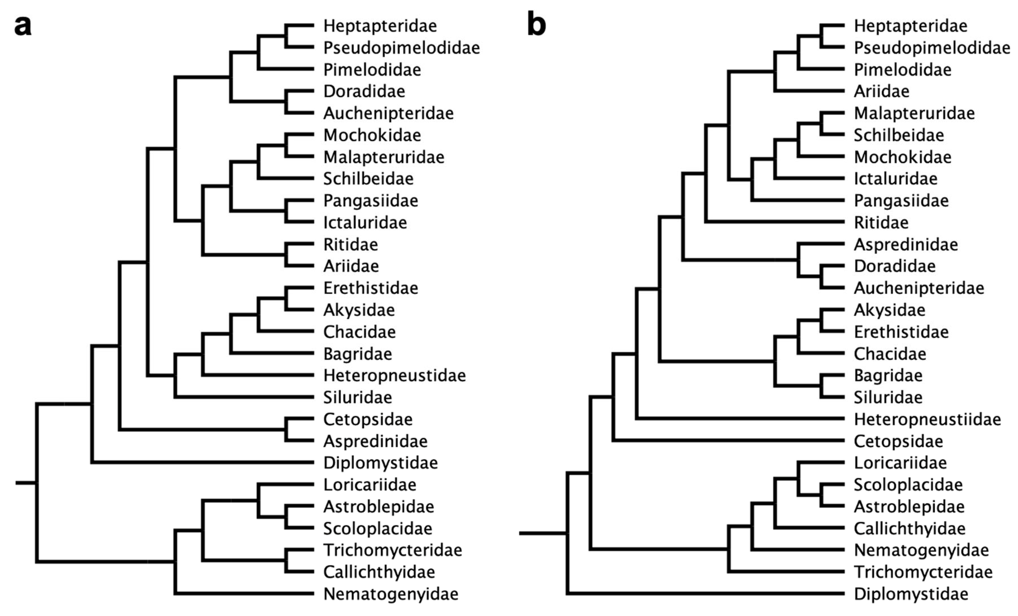 Taxonomy 05 00033 g011 Taxonomy 05 00033 g011