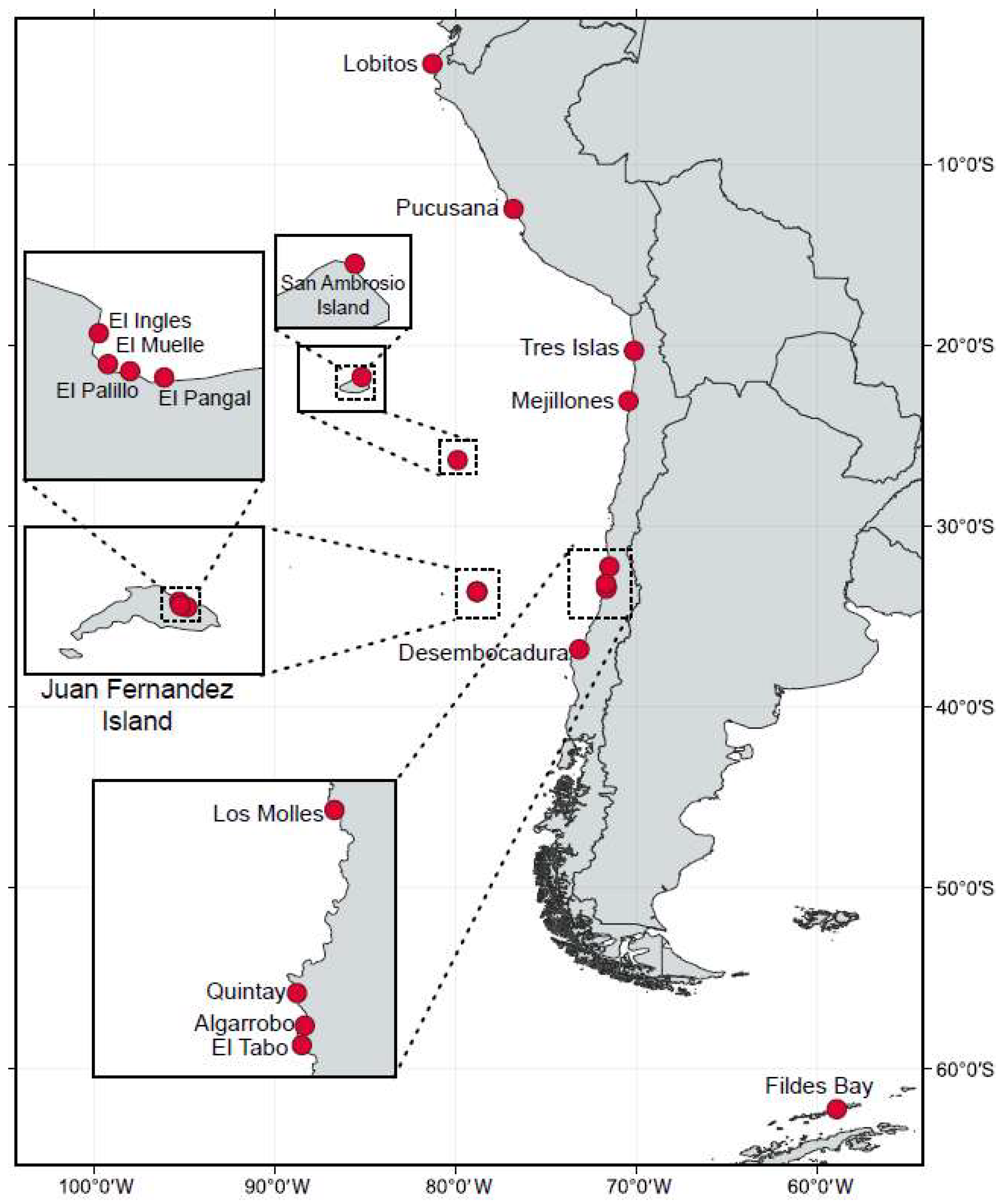 Taxonomy 05 00059 g001 Taxonomy 05 00059 g001
