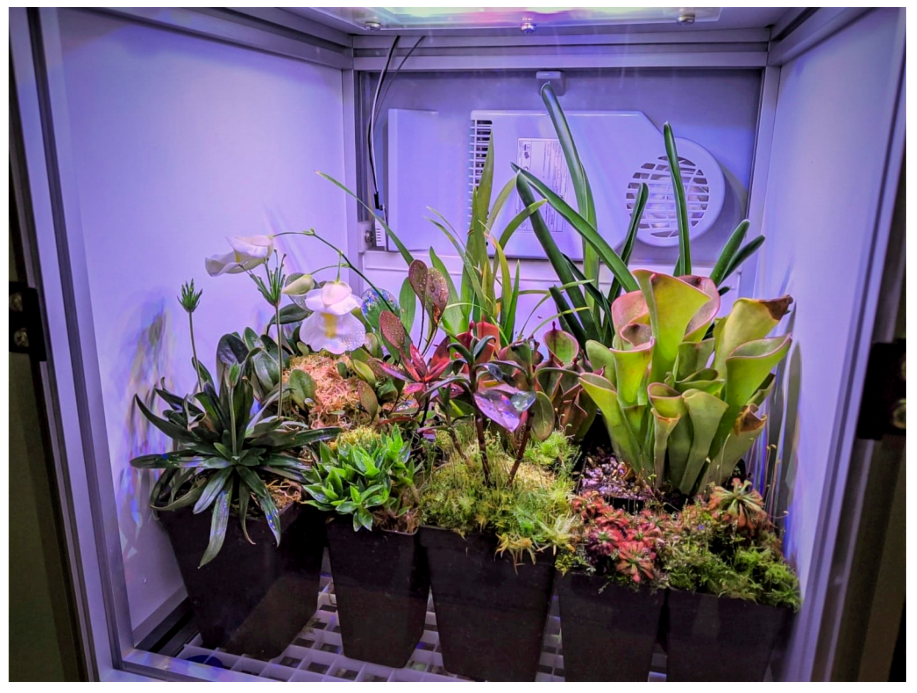 Technologies | Free Full-Text | Prototype of a Low-Cost Compact  Horticultural Chamber for Indoor Cultivation of Tropical Highland Wetland  Flora