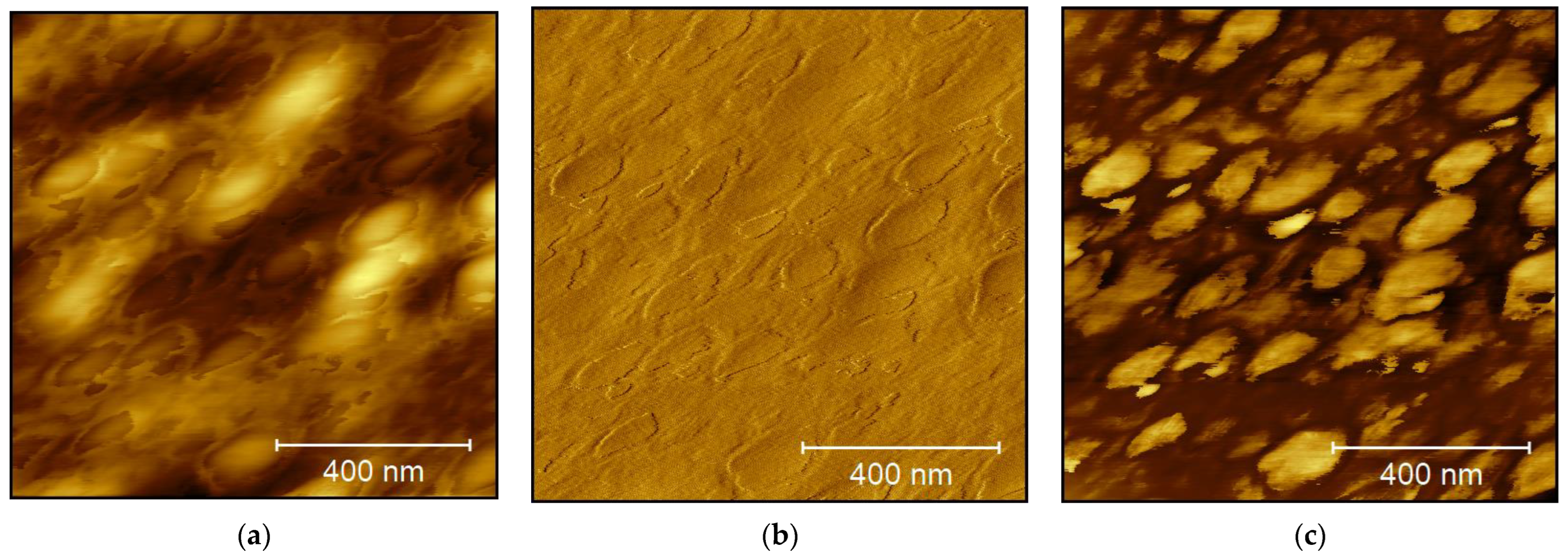 Technologies 11 00056 g003