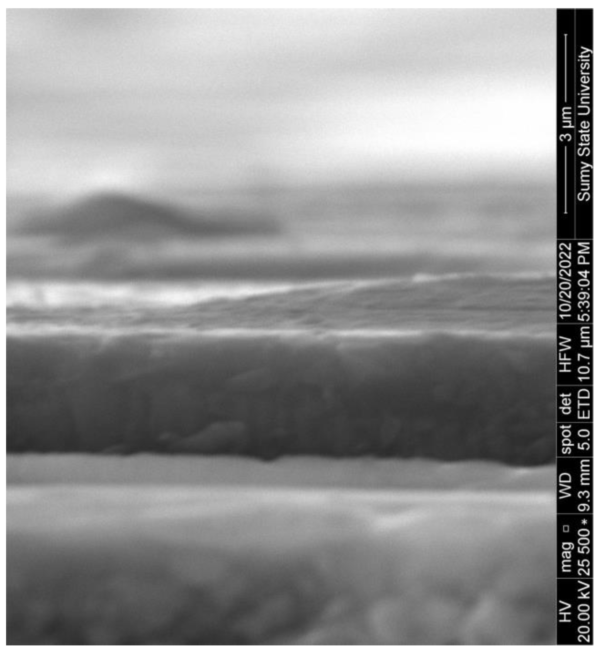 Technologies 11 00152 g005 Technologies 11 00152 g005