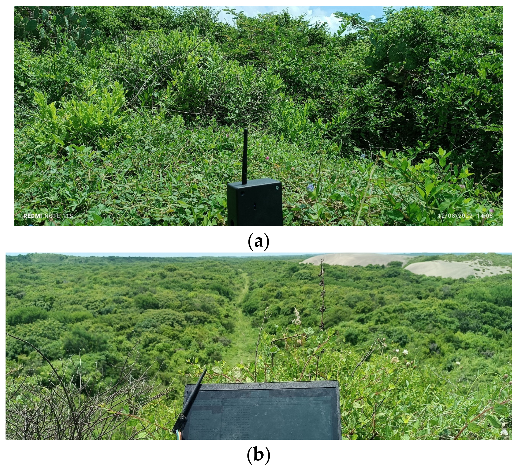 Technologies 12 00041 g013