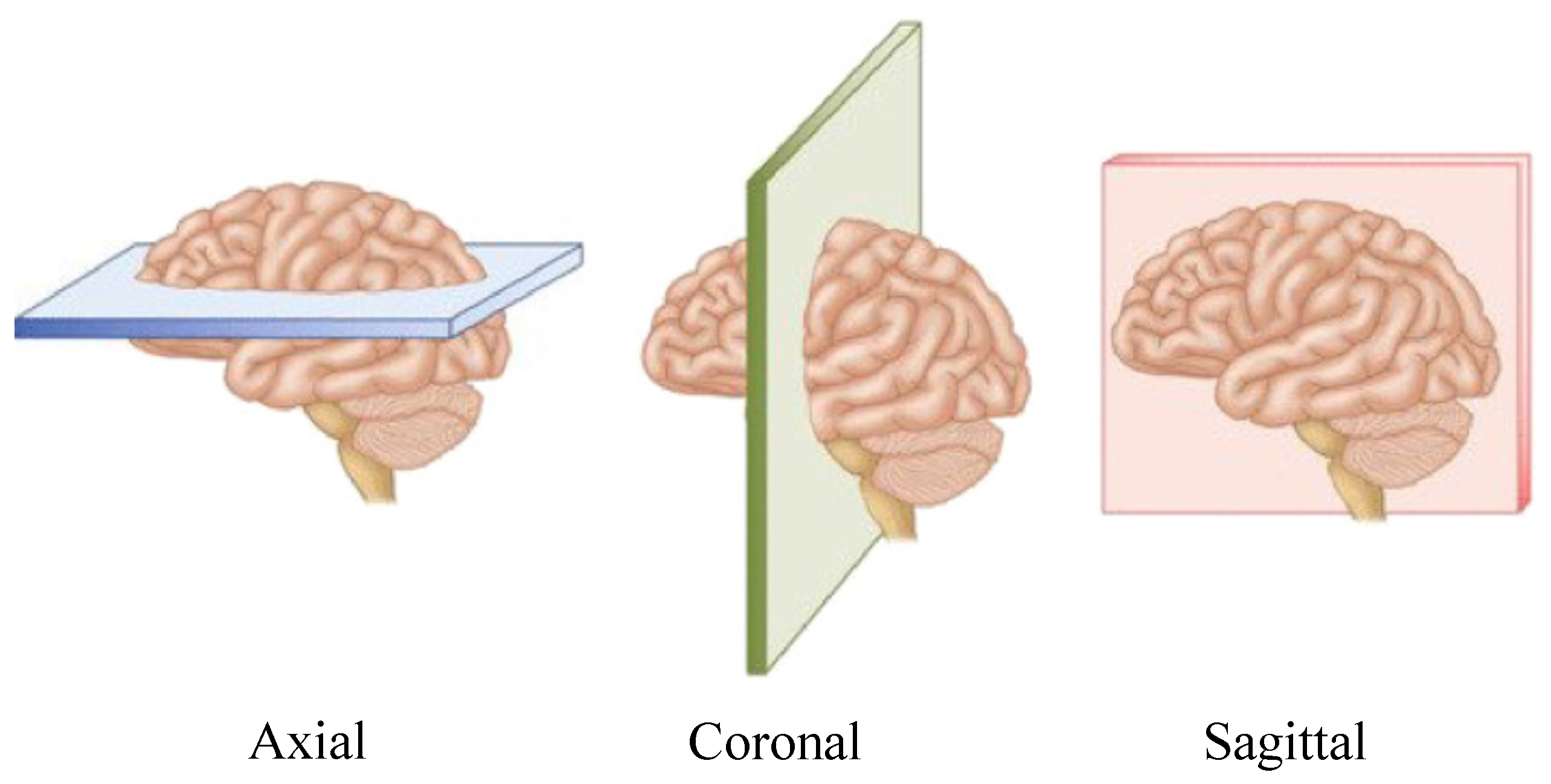 Technologies 12 00183 g001