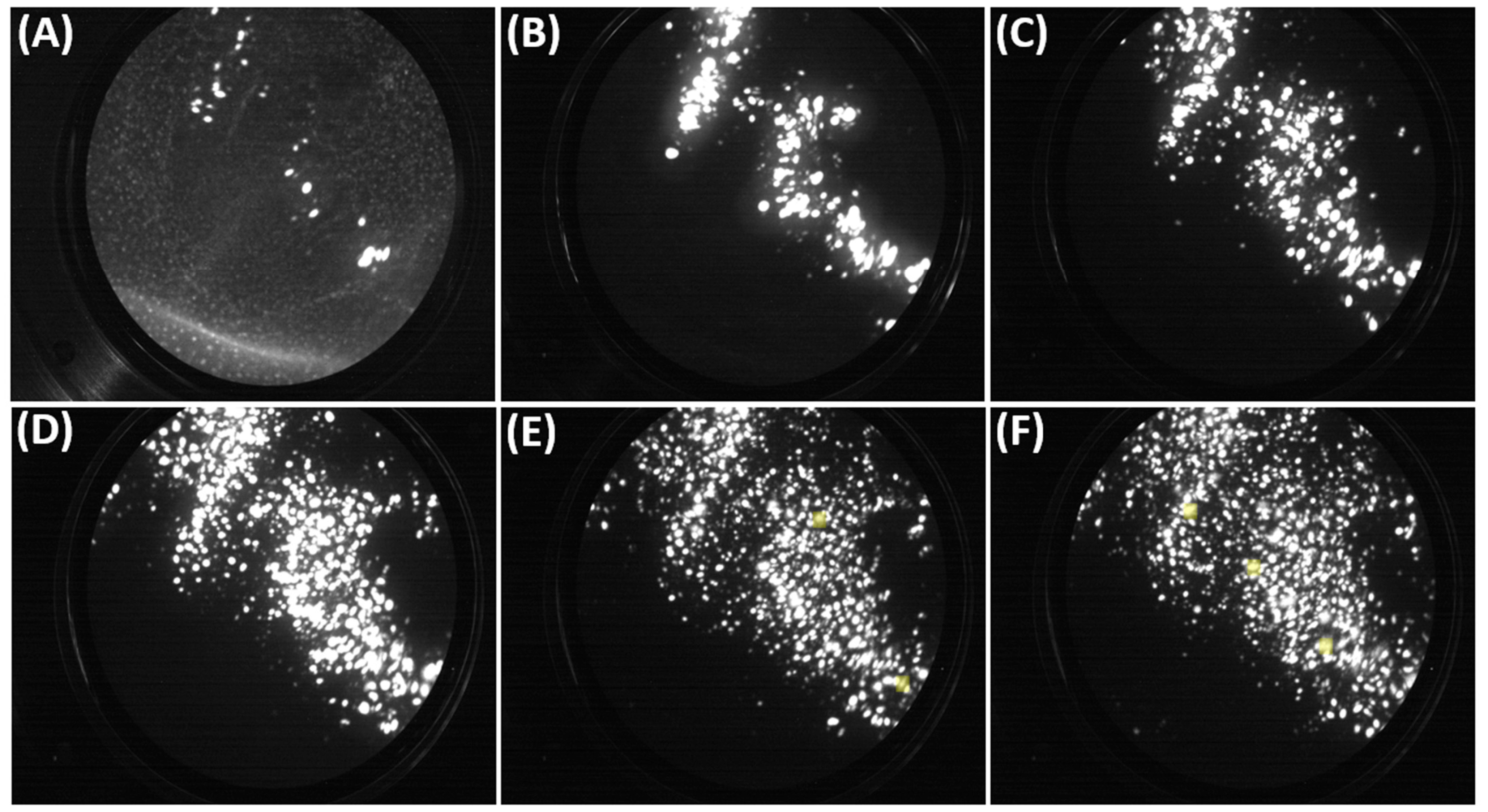 Technologies 12 00193 g009