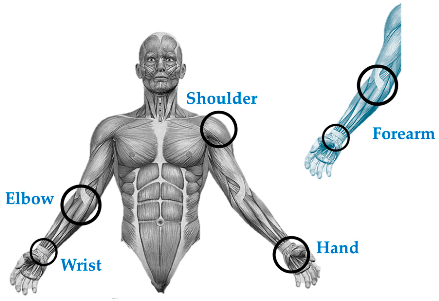 Technologies 13 00292 g002