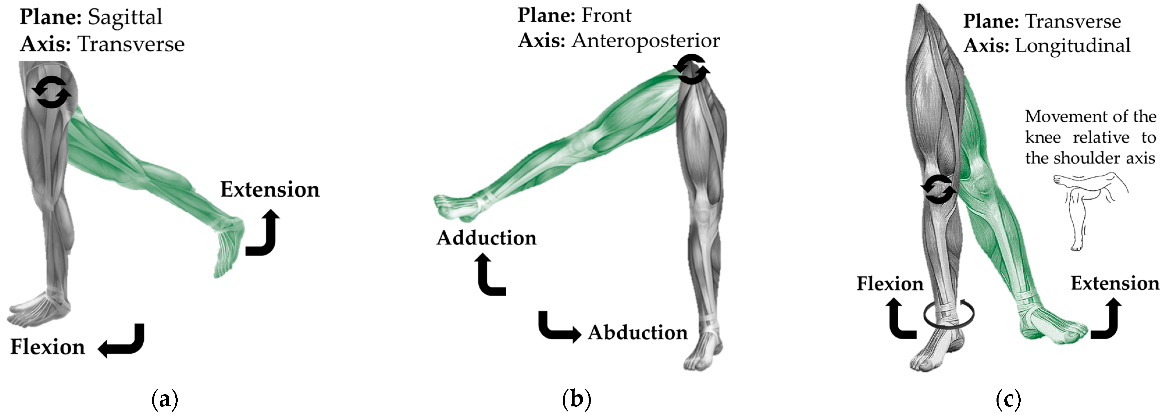 Technologies 13 00292 g006