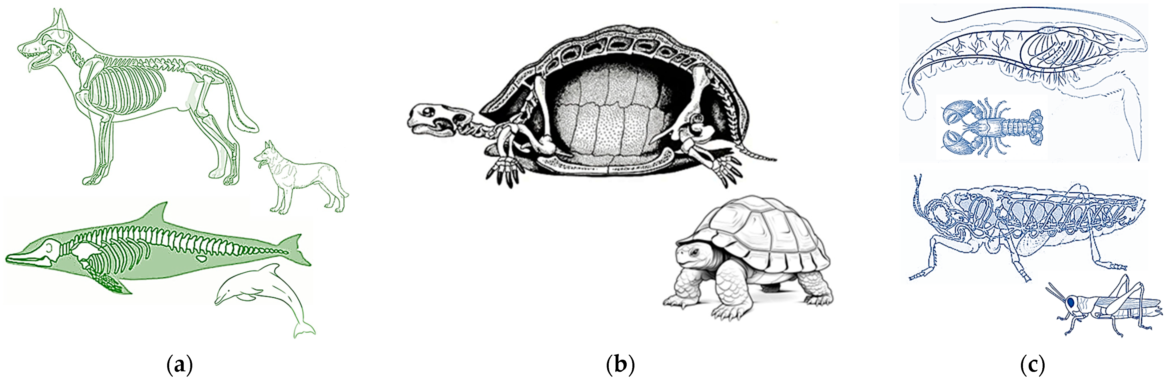 Technologies 13 00292 g008