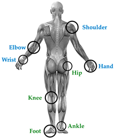 Technologies 13 00292 i003