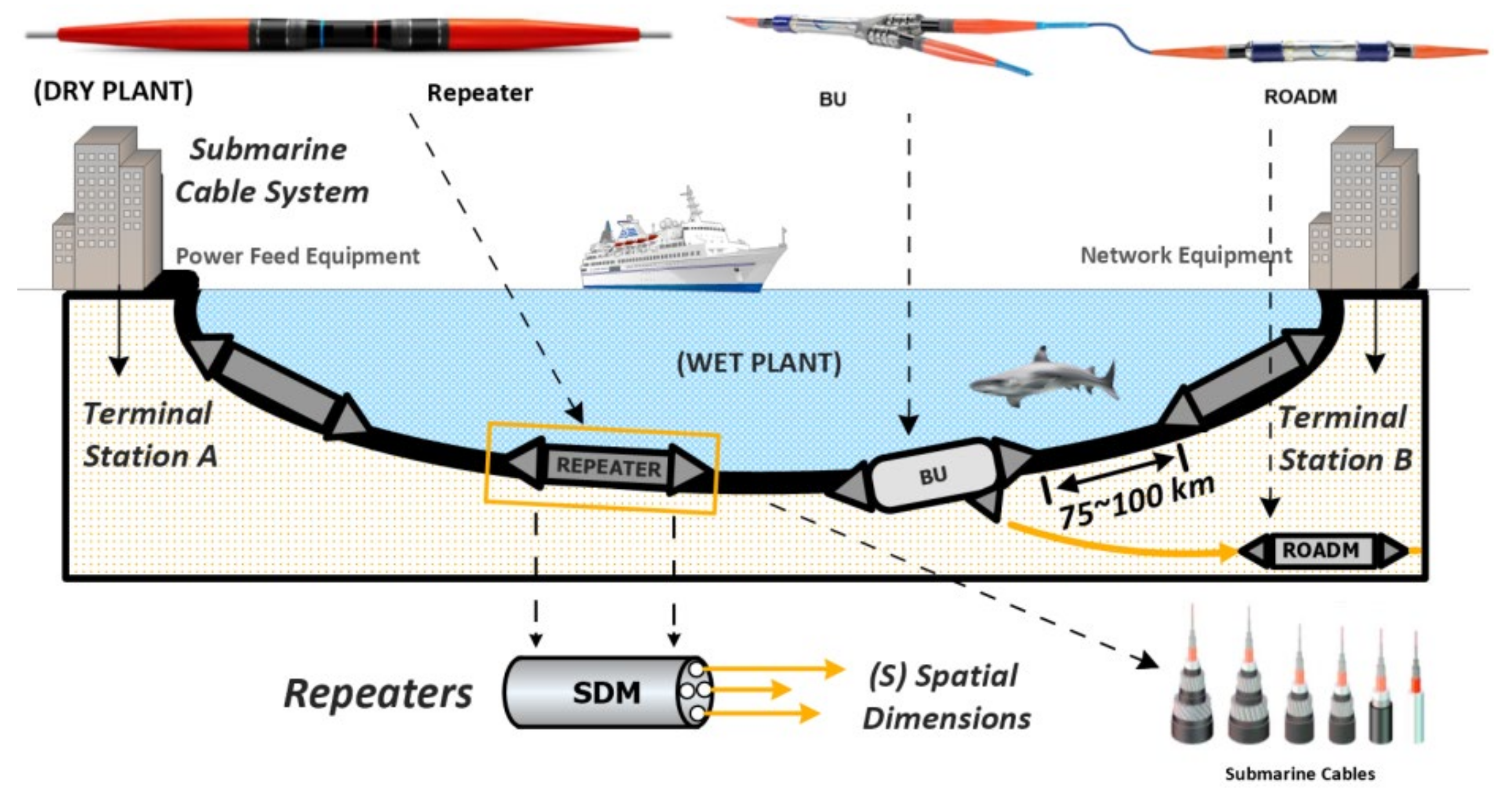 Telecom | Free Full-Text | Toward SDM-Based Submarine Optical Networks: A  Review of Their Evolution and Upcoming Trends