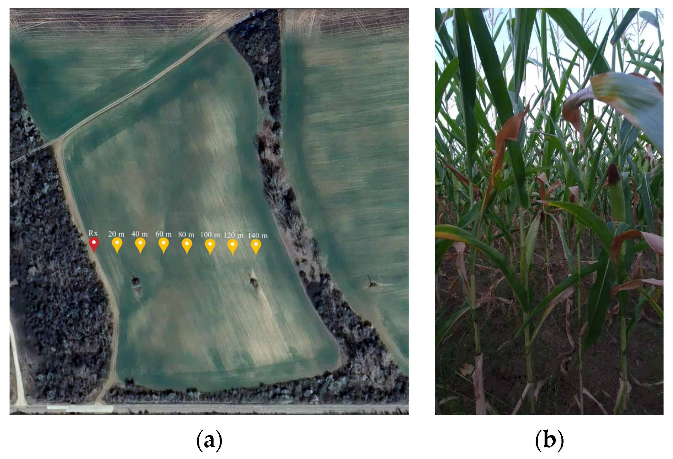 Telecom 05 00058 g001